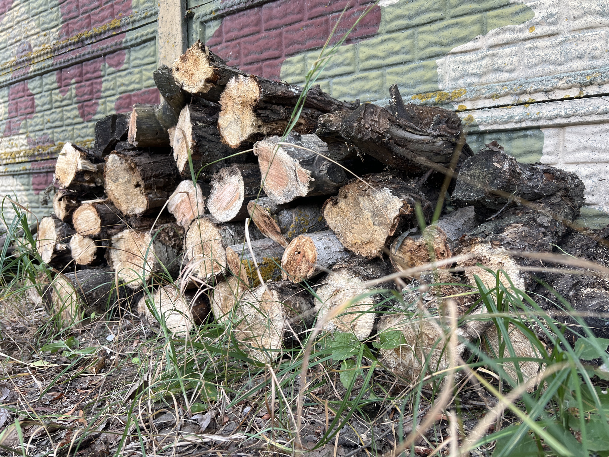 A pile of cut logs is stacked against a wall with a camouflage pattern of red, yellow, and green. The logs are of varying sizes and appear to be rough-hewn, with visible bark and wood grain. Some of the logs show signs of decay. Tall, dry grass and some green foliage grow in front of the pile and around the base of the wall. The wall itself has a textured, brick-like pattern and appears to be made of concrete. The scene is outdoors and appears to be in a somewhat rural or neglected urban setting. The location is specified as the city of Korobivka, Ukraine.