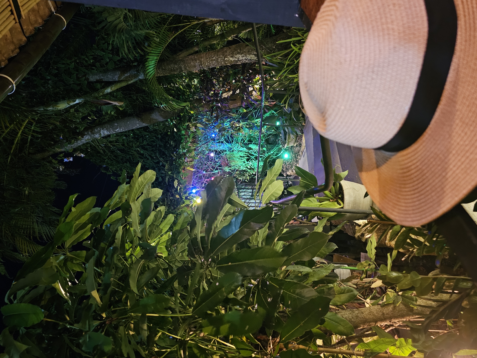 The image shows an outdoor scene at night in Armação Dos Búzios, Brazil, featuring lush tropical vegetation illuminated by colorful string lights. A tan-colored straw hat with a black band is prominently positioned in the right foreground. Green foliage fills the lower portion of the frame, with trees visible in the background. The string lights interspersed among the plants create a festive, ambient atmosphere.