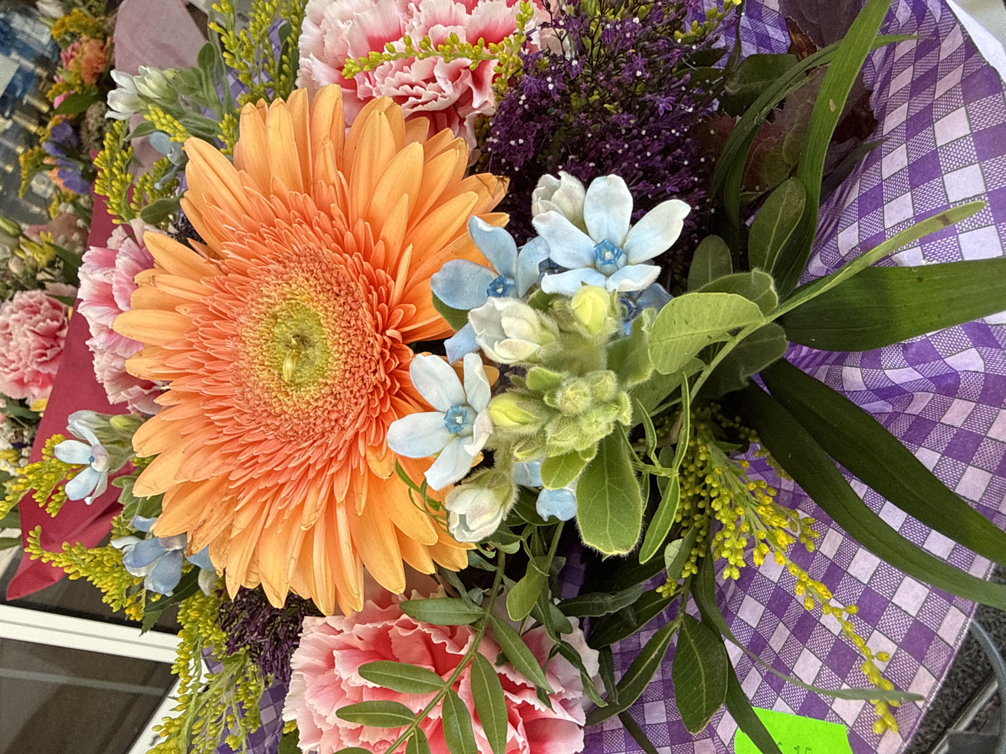 A close-up, eye-level, medium shot captures a vibrant floral arrangement. The bouquet is dominated by a large, bright orange gerbera daisy in the center, its petals fanned outwards. Surrounding it are several pink carnations, their ruffled petals creating a soft texture. Smaller, delicate blue and white flowers with pointed petals are interspersed throughout the arrangement, adding pops of color. Green foliage, including thin, grass-like leaves and broader, ovate leaves, provides a lush backdrop. The bouquet is partially wrapped in a purple and white checkered paper or fabric, adding a playful touch. In the background, hints of other flowers and greenery are visible, suggesting a larger display. The lighting is bright, highlighting the rich colors and textures of the flowers. No people are visible in the image, and the setting appears to be indoors or a covered outdoor space, as suggested by the clean, light-colored surface on the far left, possibly a windowsill or ledge. There is no indication of the specific location within Görlitz, Germany.