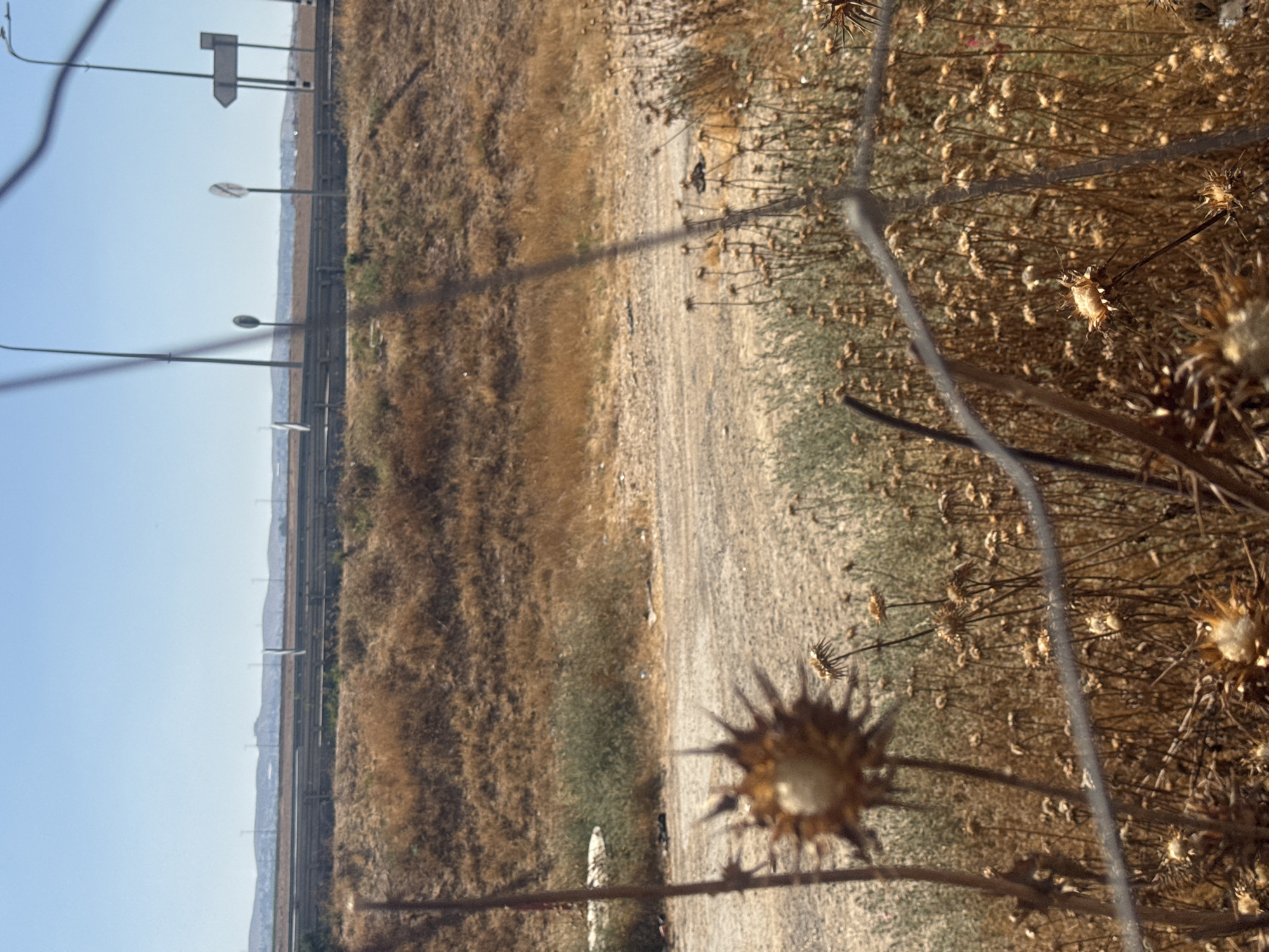 The media file depicts an outdoor scene, likely in a dry, arid region, given the prevalence of dry grasses and thorny plants. In the foreground, out-of-focus thorny seed heads are prominent, with one particularly spiky head taking center stage. These plants suggest a dry, perhaps late summer or autumn season.
In the mid-ground, a dirt path or road runs horizontally across the frame, bordered by dry, brown vegetation. Beyond the path, a clear blue sky dominates the upper left portion of the image. A series of tall, slender poles, likely streetlights or utility poles, are visible along the edge of the road, suggesting proximity to a developed area, possibly a highway or a more urbanized zone. Further in the distance, a range of hills or mountains can be seen against the horizon, with a lighter haze indicating atmospheric conditions or distance.
The overall impression is one of a rural or semi-rural landscape, characterized by arid conditions and infrastructure. The lighting suggests it is daytime, likely sunny, with a clear sky. There is no visible text in the image. The scene conveys a sense of quiet stillness, with the focus on the natural elements and the encroaching infrastructure. The inclusion of the fence wires in the foreground, also out of focus, adds a layer of perspective, suggesting the viewer is observing the scene through a barrier. The Bnei Shimon Regional Council, Israel, is a region known for its arid landscapes and development alongside natural terrain, which aligns with the visual cues in the image.