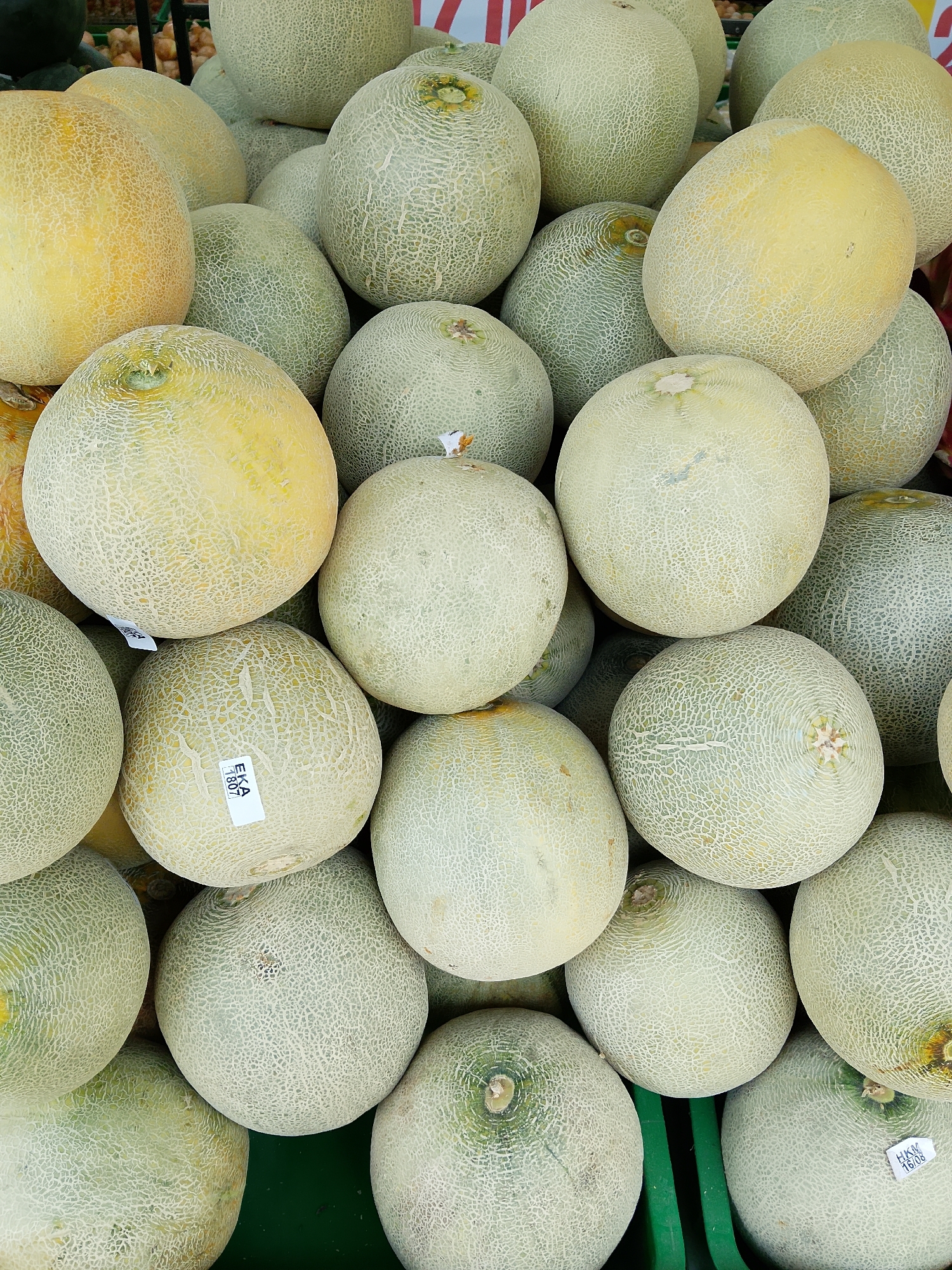 In Karangboyo, Indonesia, a close-up, top-down view captures a dense pile of cantaloupe melons. The fruits vary slightly in color, with some exhibiting a pale yellow hue and others a light green. Their netted rinds are clearly visible, creating a textured surface across the collection. A few of the melons have small white labels affixed to them, one reading "EKA 1807" and another with "HKN 16/08". The melons are packed tightly together, filling the frame and suggesting a market stall or grocery display. The background is out of focus, but hints of green shelving or containers are discernible. The lighting appears to be natural, casting subtle shadows that define the curves of the fruit. There are no people visible in the image.
