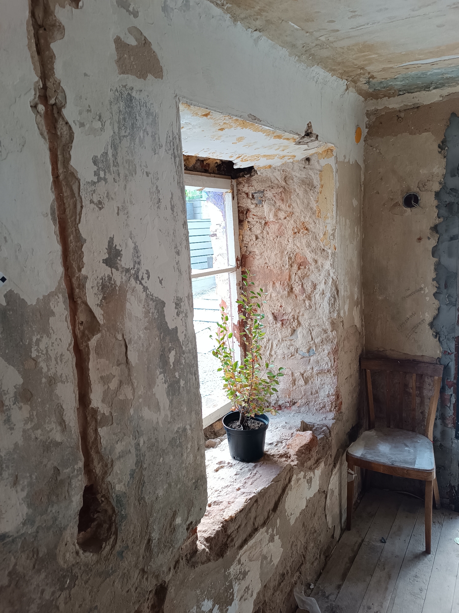 The image depicts an interior scene of what appears to be an unfinished or under-renovation room. The walls are textured and show signs of peeling plaster, with exposed brickwork visible in some areas. A windowsill made of rough stone or brick is prominent, with a small potted plant sitting on it. The plant has green leaves and appears to be a young sapling.
To the right of the windowsill, a wooden chair with a worn seat is positioned. The floor is made of wooden planks, which also appear to be unfinished or aged. The lighting suggests it is daytime, with light entering from the window, casting shadows. The overall impression is one of a rustic or historical setting undergoing restoration.
Without further information or context, it is impossible to definitively determine the specific location within Yelets, Russia. However, the architectural style and the visible materials suggest a building that could be of historical significance, possibly in the older parts of the city. The scene is devoid of any people or overt signs of current activity, suggesting a paused state of renovation or simply an unoccupied space.