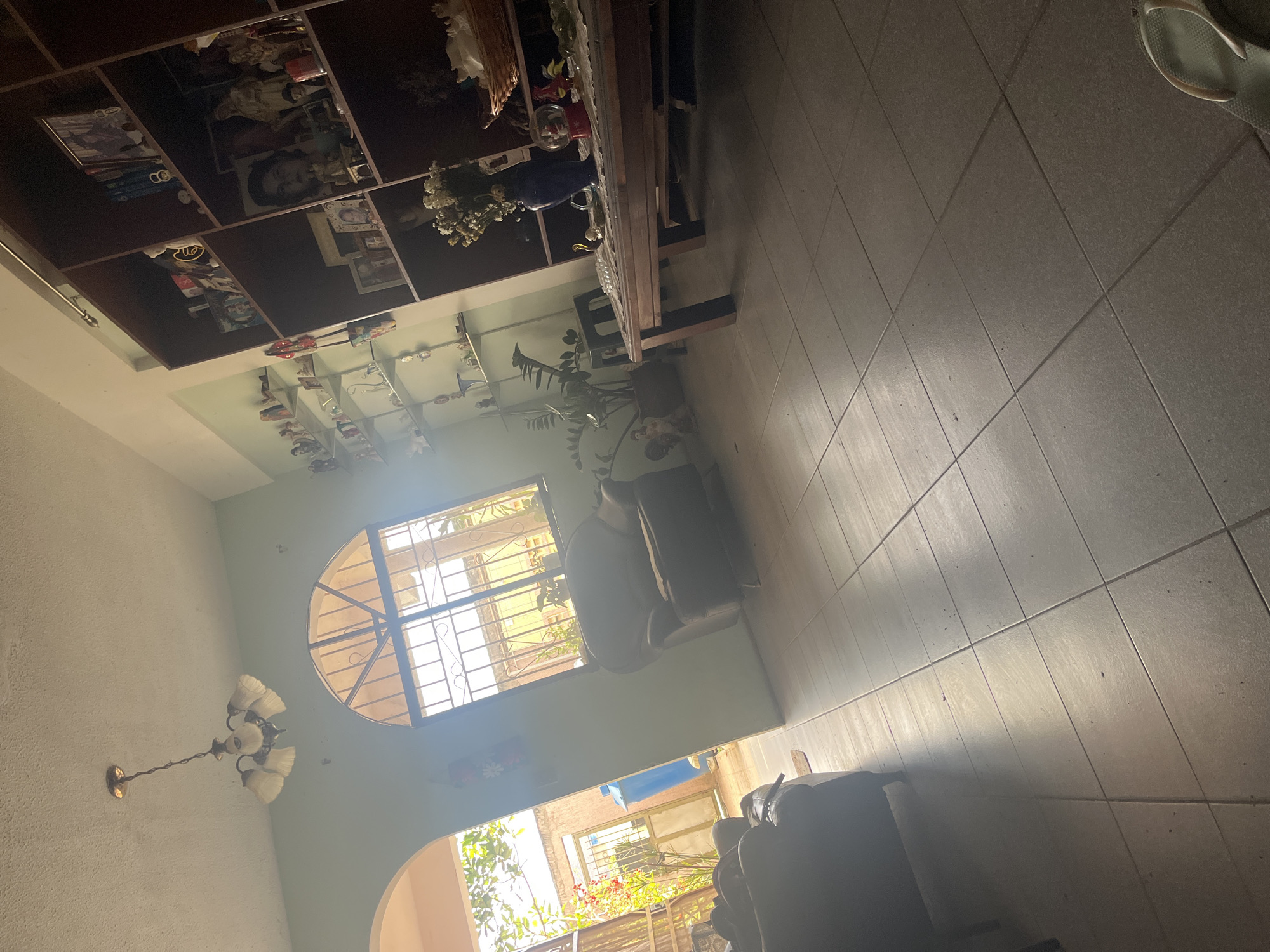This image depicts an indoor scene, likely a living room or common area within a home in Santa Ana, Venezuela, viewed from an angled perspective. The room features light green walls and a gray tiled floor.
The main subjects include a dark wooden bookshelf filled with various items such as books, framed photographs (some showing people), figurines, and decorative objects. A notable detail on the shelf is a book or magazine featuring the "Batman" logo. Adjacent to the bookshelf, a long wooden table holds a blue vase containing dried flowers and other decorative pieces. A large potted plant is also visible near the table.
Natural light streams into the room through a prominent arched window, which has metal grilles. An ornate chandelier with multiple light fixtures hangs from the ceiling. Further into the room, an armchair or part of a couch is visible. An arched doorway opens to an outdoor area, revealing bright sunlight, lush greenery, and colorful flowers, suggesting a vibrant garden or patio. On the tiled floor, a pair of light-colored flip-flops are visible.
No specific activity or event is taking place, and no people are directly present, giving the room a quiet, lived-in appearance. The strong sunlight and the visible outdoor vegetation indicate it is daytime with sunny weather. The architecture, including the arched window and simple tiled flooring, aligns with a warm climate.