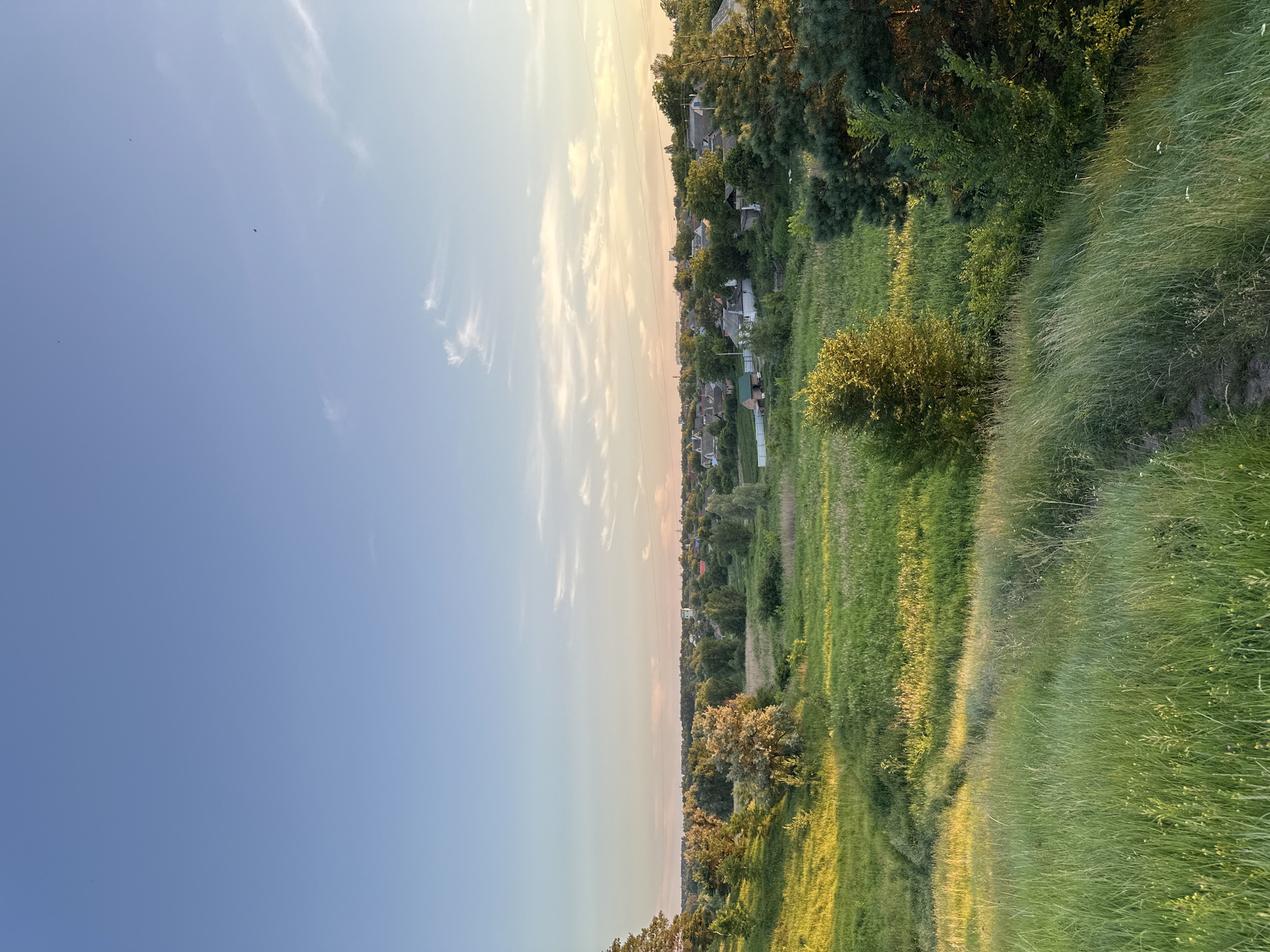 This media file depicts a landscape scene with a vast blue sky on the left and a green meadow on the right, transitioning into a village with houses nestled among trees. The sky is clear, with a few wispy white clouds scattered across it, suggesting a pleasant, possibly late afternoon or early evening. The setting sun casts a warm, golden light on the meadow and the tops of the trees, creating a serene and peaceful atmosphere.
The meadow is covered in lush green grass, with patches of taller, wilder grass towards the right edge of the frame. A faint path can be seen winding through the meadow, suggesting it is a well-trodden area. In the distance, a village can be observed, with numerous houses of various sizes and roof colors, surrounded by dense foliage. The trees are predominantly deciduous, with their leaves appearing in various shades of green.
Notable details include the soft light, indicative of a time near sunset or sunrise. The clear sky suggests fair weather. There are no visible people or specific objects of interest besides the natural landscape and the village. The overall mood is tranquil and idyllic. The orientation of the image is such that the sky is on the left and the land is on the right, suggesting it was taken in a vertical orientation. There is no visible text in the media file.