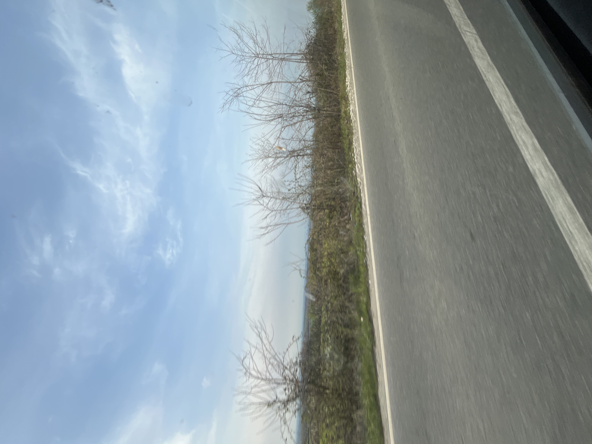 A tilted outdoor shot taken from a moving vehicle, possibly a car, shows a road with a white dividing line to the right. Adjacent to the road is vegetation with leafless trees in the background, against a blue sky with scattered clouds. It is unclear if this photo was taken in Novakovo, Bulgaria.