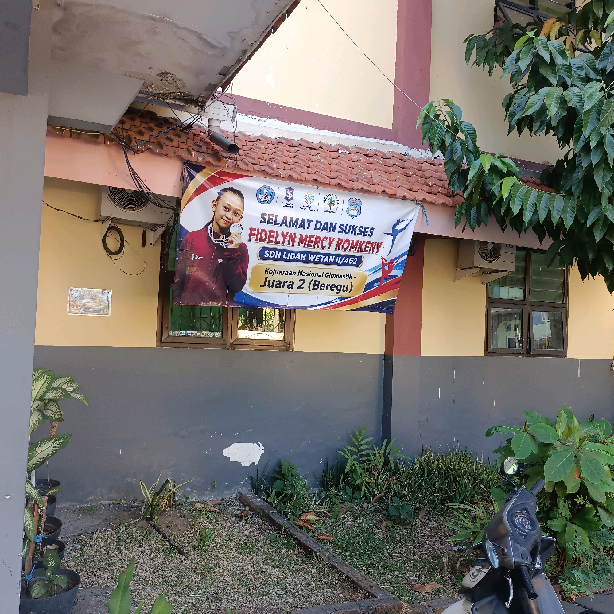 The image shows a banner celebrating the success of a student named Fidelyn Mercy Romkeny from SDN Lidah Wetan II/462 in Surabaya, Indonesia. The banner is hung on the exterior wall of a building, likely a school, as indicated by the text "SDN Lidah Wetan II/462" which refers to a primary school. The banner announces "SELAMAT DAN SUKSES" (Congratulations and Success) and highlights her achievement in "Kejuaraan Nasional Gimnastik - Juara 2 (Beregu)" which translates to "National Gymnastics Championship - 2nd Place (Team)".
The student, Fidelyn Mercy Romkeny, is depicted on the left side of the banner, holding a silver medal, and appears to be a young girl with a proud expression. The banner also features several logos, including the Garuda Pancasila symbol, and others related to education and children's welfare.
The building's exterior wall is painted in light yellow and grey. An air conditioning unit is visible above the banner, and a window with wooden frames is located to the right of the banner. In front of the building, there is a patch of dry grass and some plants in pots. To the right of the image, a motorcycle is parked. The overall scene suggests an outdoor environment, likely in front of or adjacent to a school building in a suburban or urban area of Surabaya.