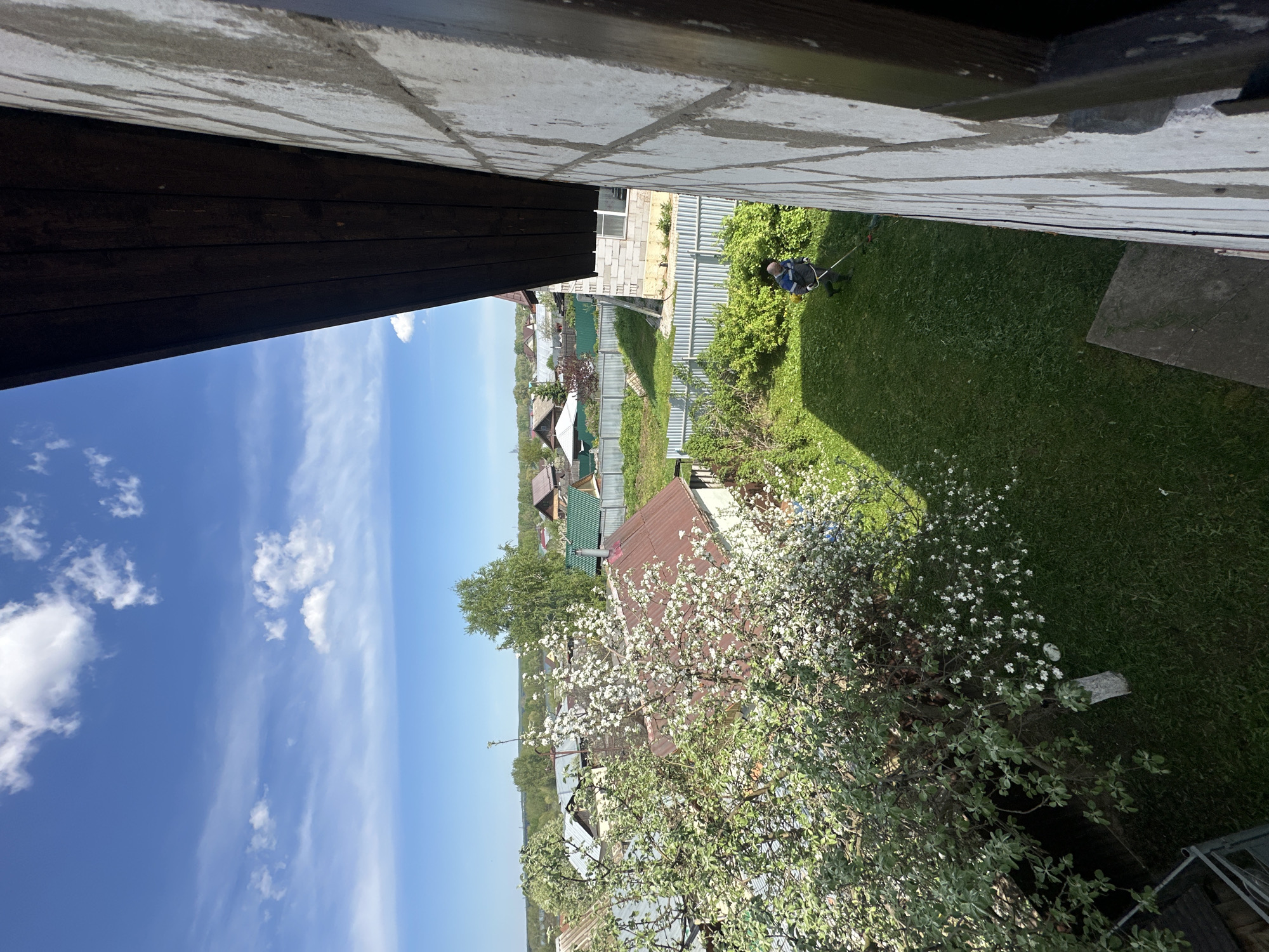 The photograph depicts a scene in Chaikovsky, Russia, featuring a view from an elevated position, possibly a window. A clear blue sky with scattered clouds occupies the left portion of the frame.
Below the sky, a landscape of residential homes with various roof colors (red, green) extends into the distance. Yards are visible, some with fences. A tree with white blossoms is prominent in the foreground.
In the immediate foreground, the edge of a building is visible. On the right, a lawn area is visible, where a person is trimming the grass with a power tool. A concrete slab lies on the lawn.