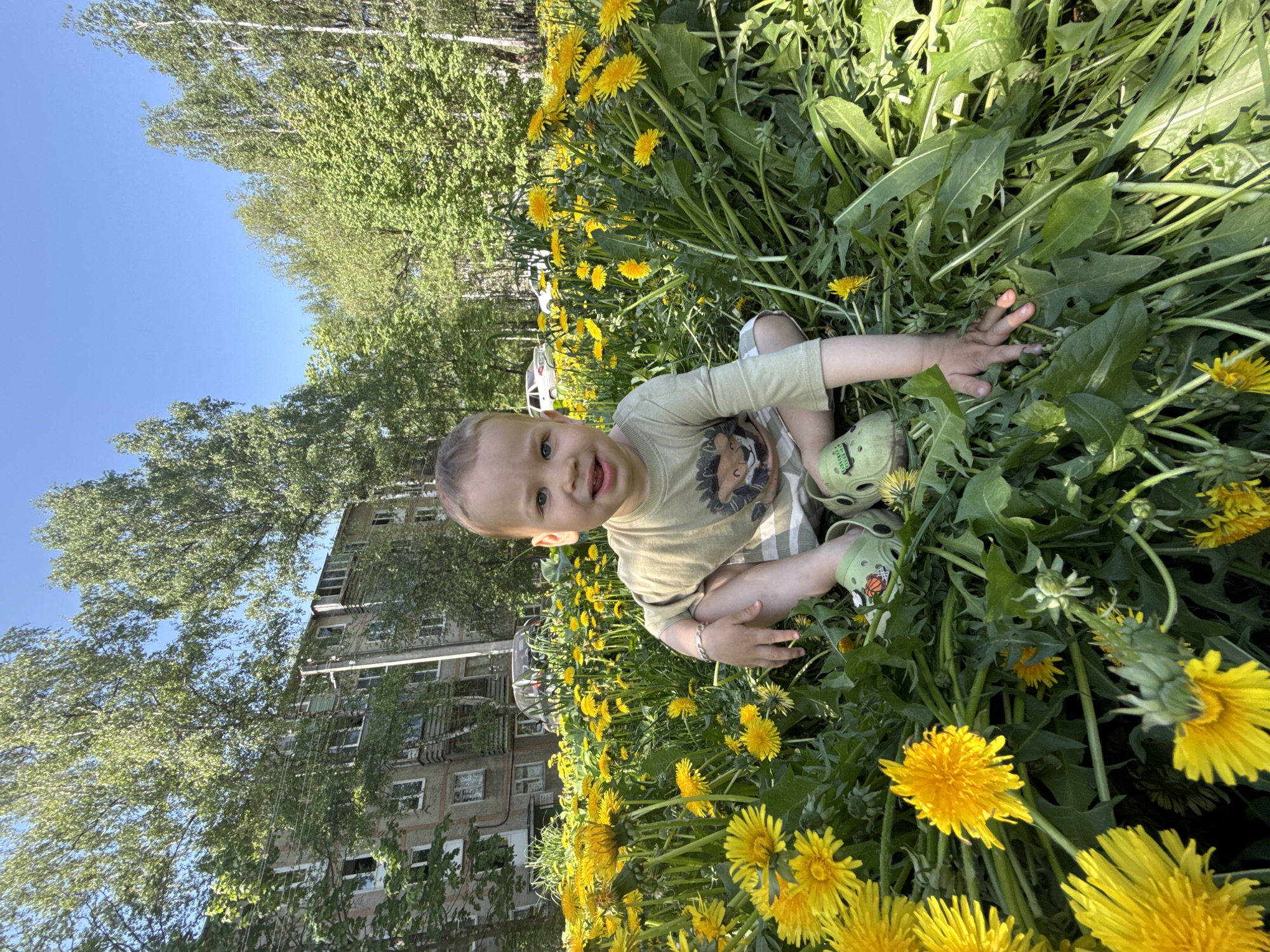 A young child is sitting in a field of dandelions in what appears to be an urban setting. The child has fair skin and hair and is wearing a light-colored shirt with an animal print and green sandals. They are looking at the camera and reaching out with their hands toward the dandelions. The background includes a large building and trees, suggesting a park or green space within a city. This image was taken in Rusanovo, Russia.
