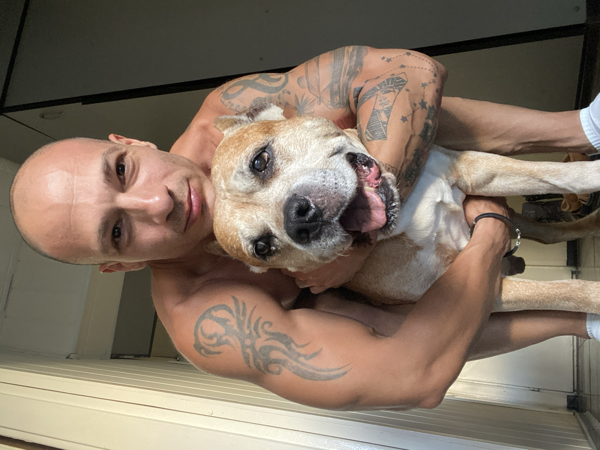 A man with a shaved head, muscular arms, and numerous tattoos embraces a tan and white dog. The man is shirtless and wearing white socks. The dog is panting with its tongue out. They are indoors, in what appears to be a hallway or doorway, with a light-colored wall on the left and a darker wall or door on the right. The floor is tiled. There is no specific information within the image that places the location in the city of Pleven, Bulgaria.