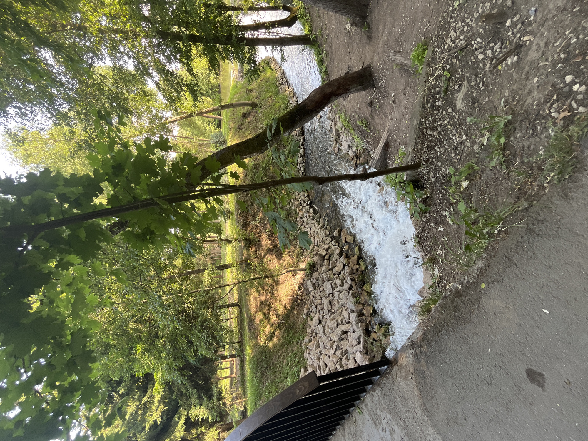 A picturesque scene unfolds in a park setting, likely located in the city of Vysokaya Gora, Russia. The image captures a section of a flowing stream, its water churning white as it navigates a rocky embankment on the left side of the frame. The stream is flanked by lush green trees and vegetation, with sunlight filtering through the leaves, casting dappled shadows on the ground.
In the foreground, a paved pathway runs diagonally from the lower left corner, meeting a dark metal railing that borders the pathway and overlooks the stream. The pathway appears to be made of asphalt and shows some wear, with small stones and debris scattered on its surface.
The stream itself is a focal point, with the white, turbulent water suggesting a gentle cascade or rapid. The rocky embankment is densely packed with light-colored stones of various sizes, with some greenery peeking through.
Beyond the stream, the terrain slopes upward, covered in grass and dotted with more trees. The background reveals a wider expanse of water, possibly a lake or a larger river, reflecting the sky and the surrounding trees. The overall impression is one of a serene and natural environment, well-maintained for public enjoyment. No people are visible in the image.