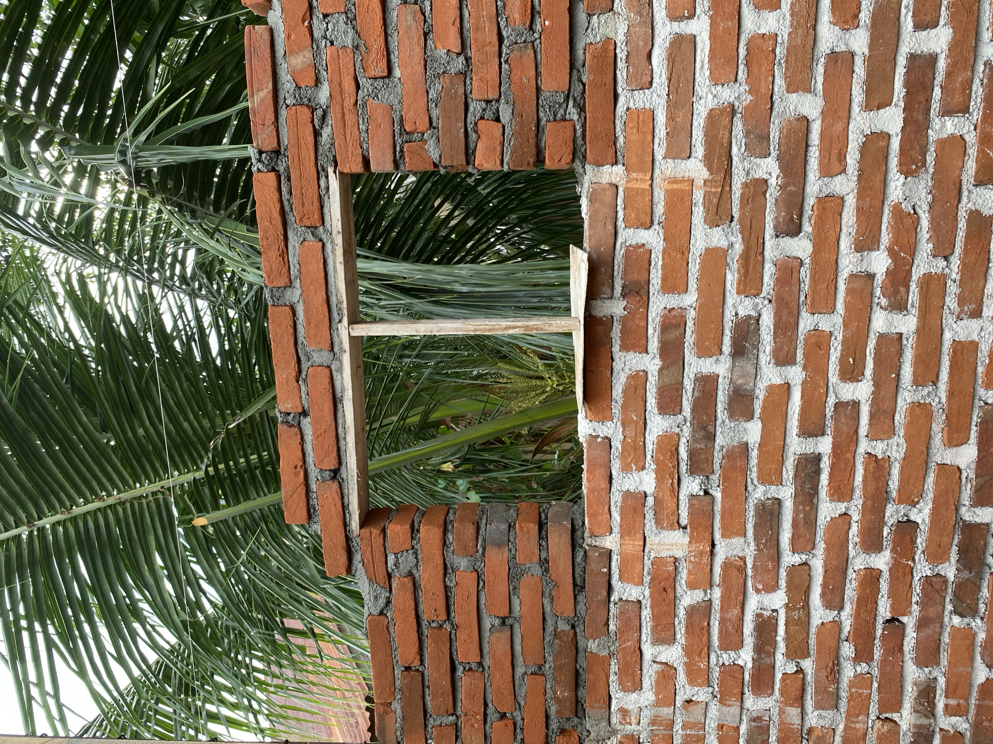 This is a photograph of a brick wall under construction, with a rectangular opening revealing lush green palm fronds behind it. The wall is made of reddish-orange bricks and cement mortar. A simple wooden frame is visible within the opening of the wall. The background consists of dense green palm leaves, suggesting a tropical or subtropical environment. The lighting indicates it is daytime. The image does not provide enough information to determine its specific location within Banda Aceh, Indonesia, beyond it being an outdoor setting where construction is taking place amidst vegetation. There are no people or animals present in the image.