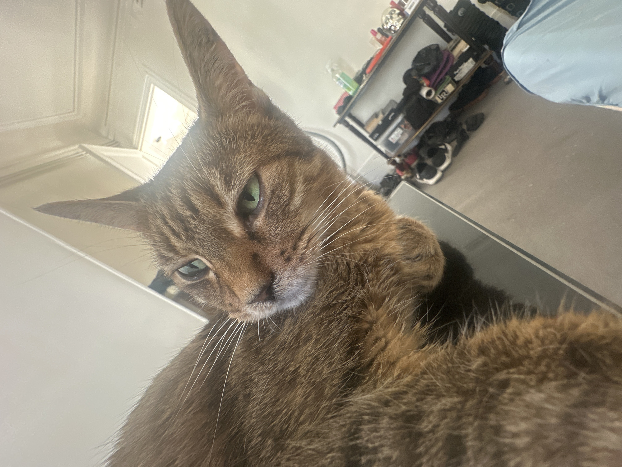 Memory