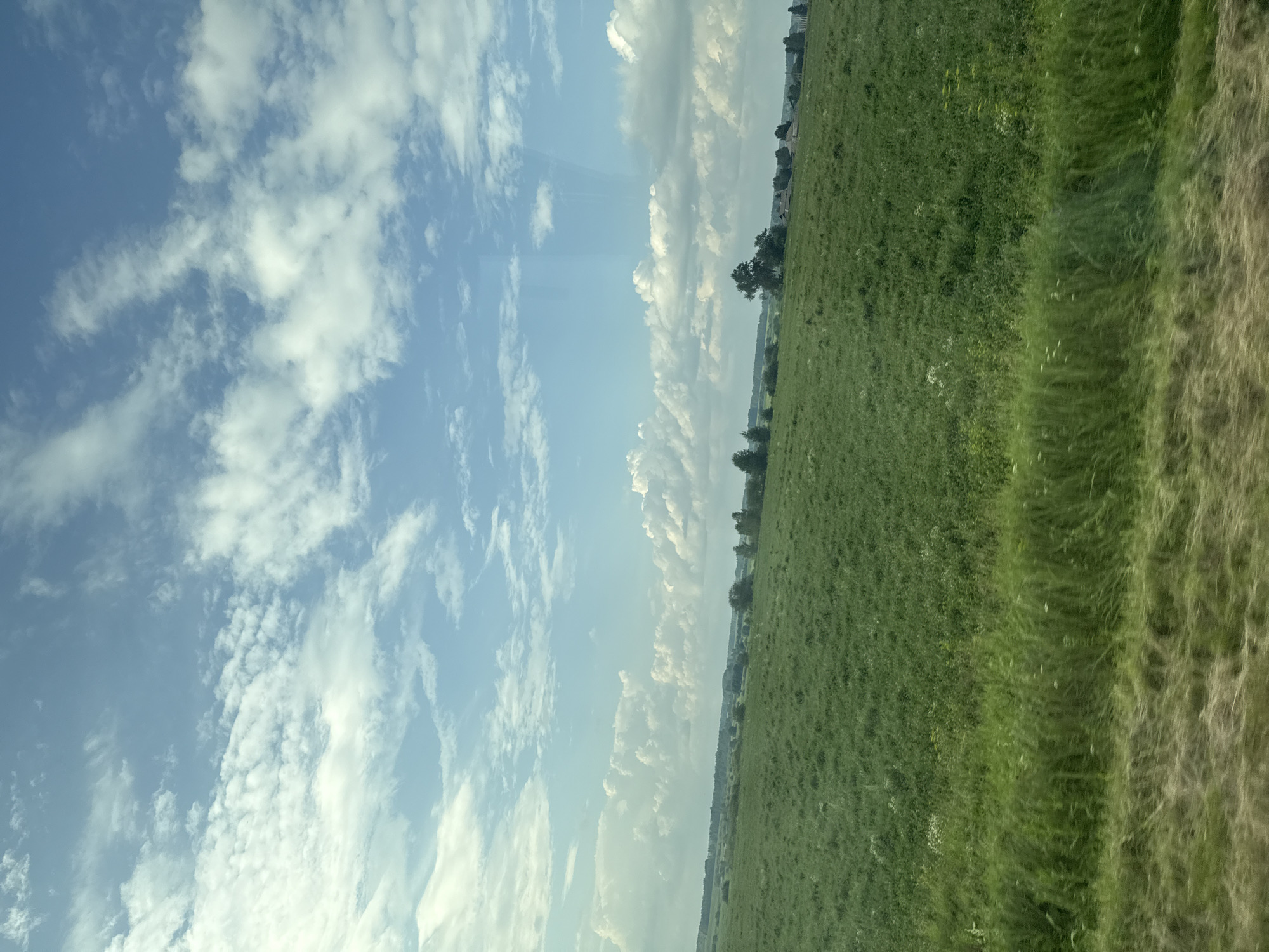 The image depicts a vast, rolling green field under a bright blue sky dotted with white, fluffy clouds. The foreground features a strip of dry, yellowish grass, indicating a roadside or a transition zone. The middle ground is dominated by an expanse of lush green grass, with some areas appearing more textured and uneven, suggesting natural growth and possibly wildflowers. In the distance, a line of trees and some scattered buildings can be observed, hinting at a rural landscape. The sky occupies the upper half of the image, with a dynamic arrangement of cumulus clouds that create shadows and highlights on the field below. The overall impression is one of a serene, rural setting. This scene could be located in the vicinity of Retneva, Russia, given its characteristic agricultural landscapes and open skies.