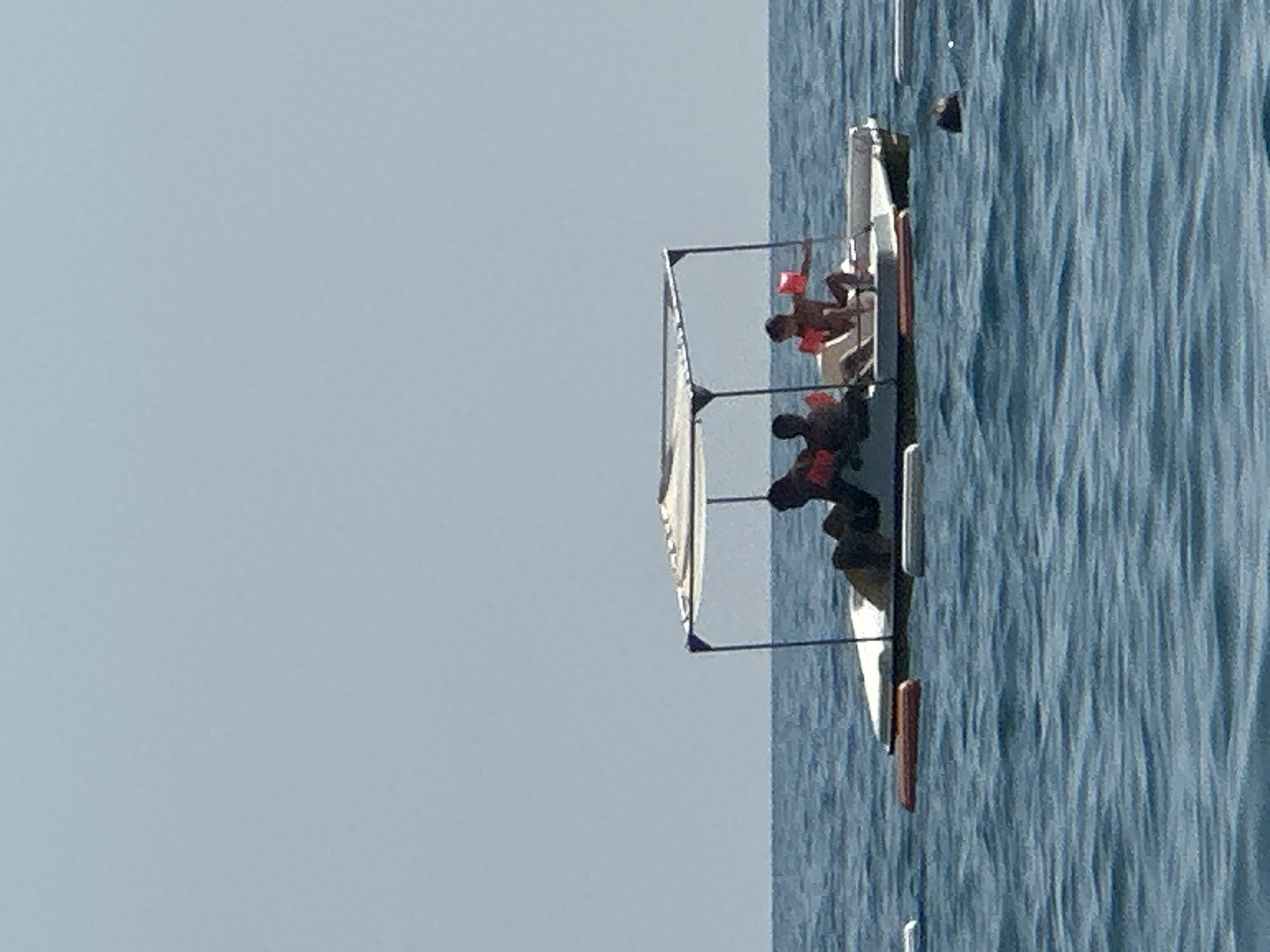 In Boreti, Montenegro, a pedal boat with a canopy is in the water on a sunny day. Four individuals are on the boat. Two are seated on the left side, with one wearing an orange flotation device. Another individual is seated on the right side, also wearing an orange flotation device. A fourth person is standing or sitting at the front of the boat, also wearing an orange flotation device. The water is blue and slightly choppy. In the foreground, there are several white buoys. A dark object, possibly a head, is visible in the water to the right of the pedal boat. The sky is clear and light blue.