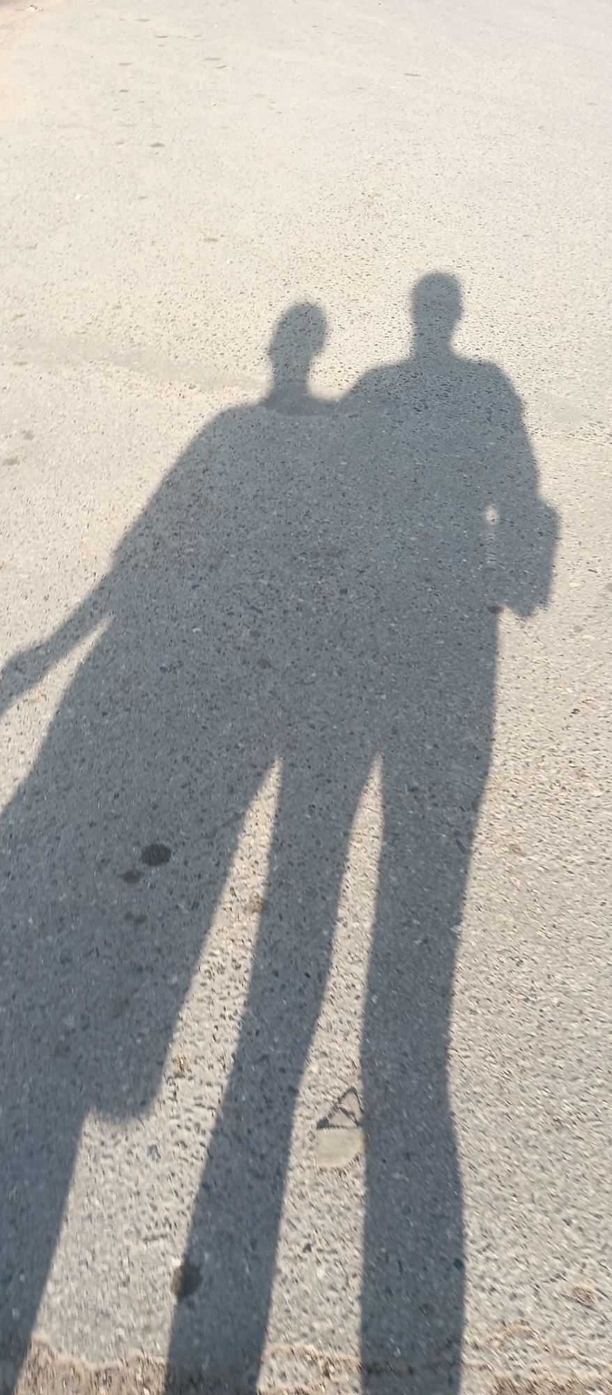 The image shows the shadows of two people cast on a paved surface, likely a road or sidewalk in an urban area. One shadow appears to be holding something, possibly a bag or purse. The shadows are elongated, suggesting the photo was taken during a time of day with low sun angles. The ground is a light grey color.