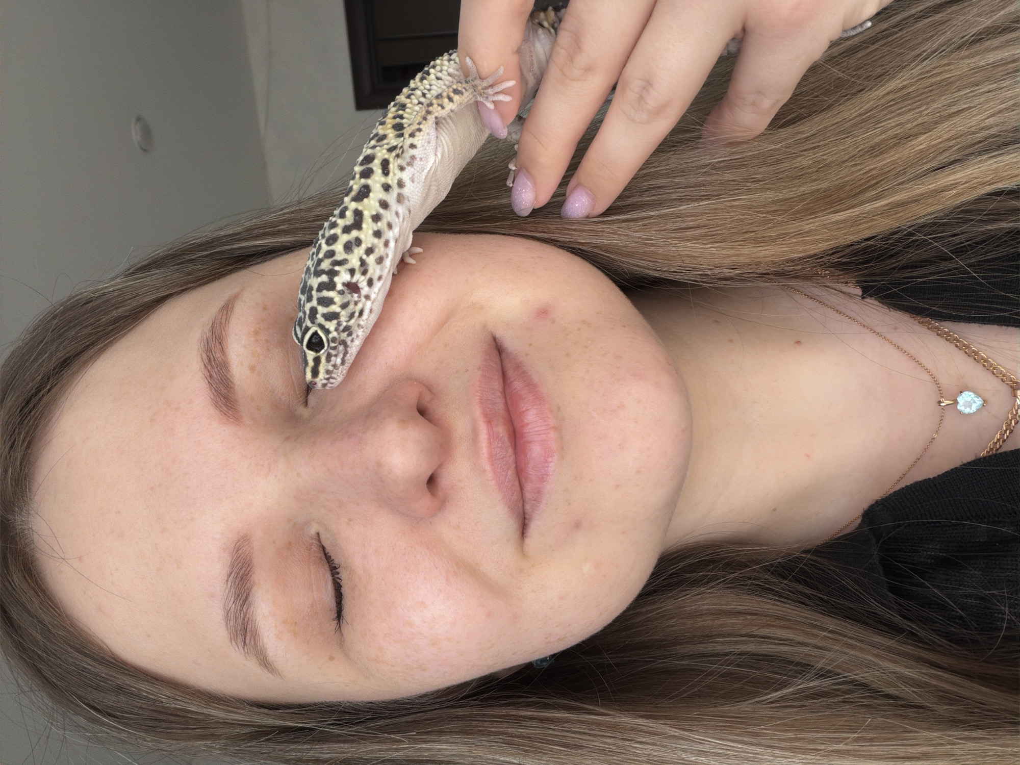 A fair-skinned young woman with light brown hair is holding a leopard gecko. The gecko is perched on her face, near her closed eye. The woman's nails are painted with a glittery light purple polish. She is wearing a black shirt and a rose gold necklace with a heart-shaped pendant. The background is a light gray wall, with a dark rectangular object visible on the wall. The location in Chaikovsky, Russia, cannot be verified from the image.