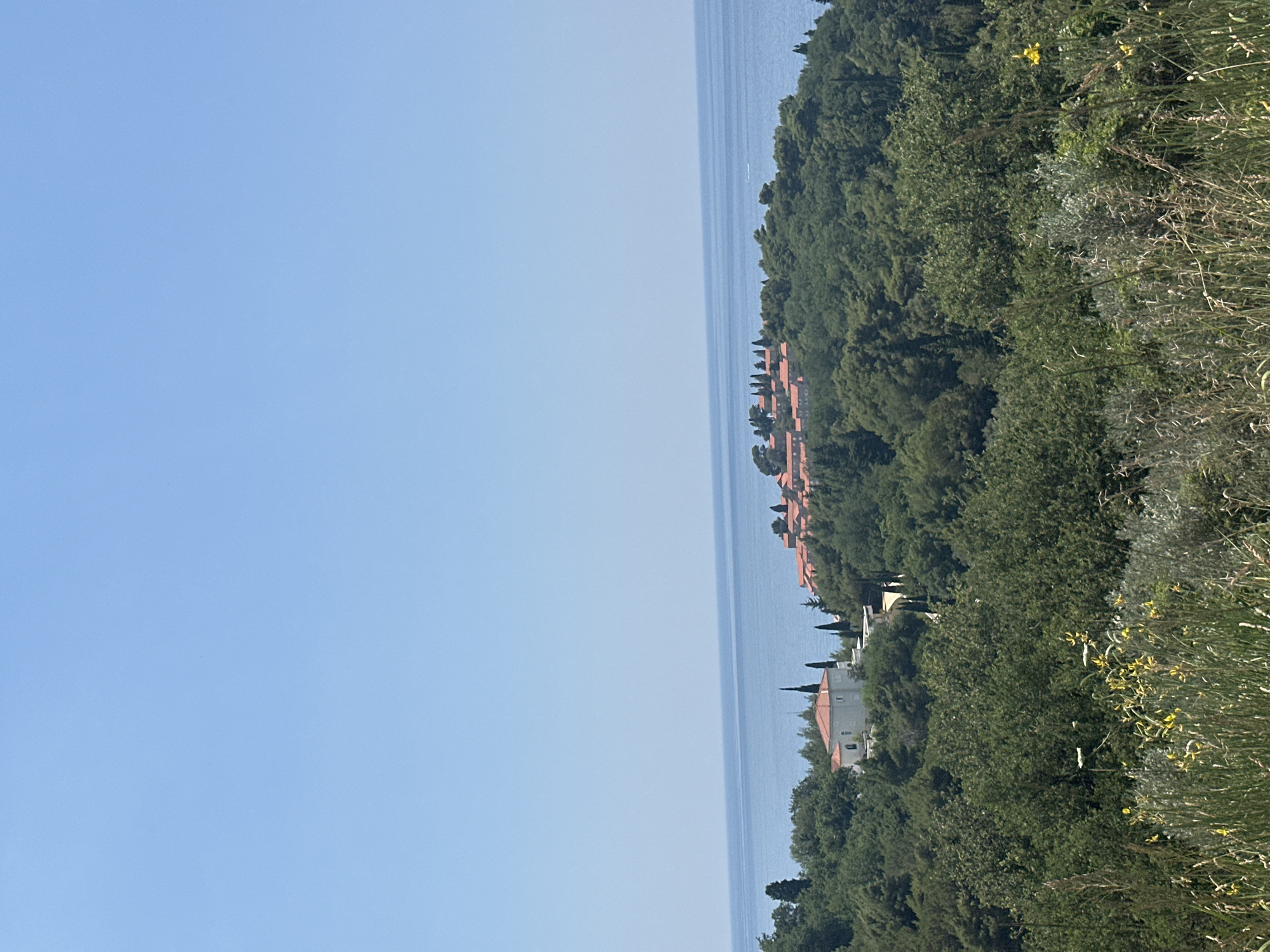 This is a vertically oriented, landscape photograph taken from a high vantage point, looking down towards a coastline. The image is divided into two distinct halves. The left half is a vast expanse of clear, pale blue sky. The right half of the image depicts a densely forested hillside sloping down towards a calm, deep blue body of water, likely the Adriatic Sea.
Along the coastline, nestled within the trees, are several buildings with orange-tiled roofs, suggesting a settlement or resort. The architecture appears Mediterranean. Some of the buildings are larger, with white walls and red roofs, while others are smaller and clustered together. Numerous evergreen trees, predominantly dark green, cover the hillside. In the foreground of the right side, the vegetation is wilder and includes tall grasses and some yellow wildflowers.
The time of day appears to be late morning or early afternoon, given the bright, clear sky and the lighting on the landscape. The weather is sunny and fair, with no clouds visible. The scene evokes a sense of tranquility and natural beauty, with the natural landscape dominating the view and human habitation present in a subtle, integrated manner. There is no visible text in the image. The overall impression is one of a serene coastal environment.