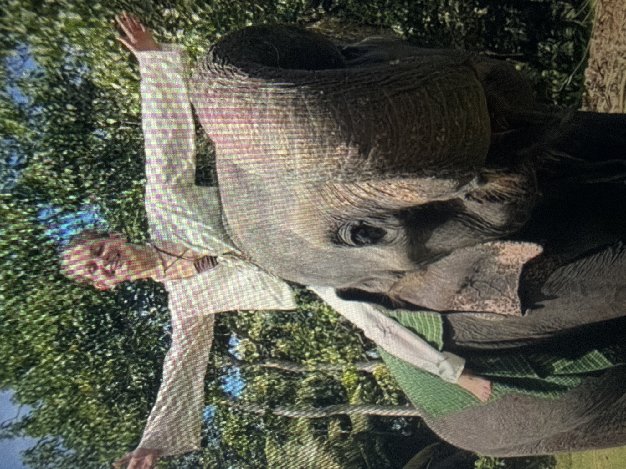 The image portrays a young individual riding an elephant in a lush, forested environment in the city of Shumen, Bulgaria. The rider, who appears to be a fair-skinned female, is positioned centrally on the elephant's upper back, smiling with both arms extended horizontally outwards. She wears a light-colored, long-sleeved top and light-colored trousers, with bare feet visible on a patterned green textile draped over the elephant's back, serving as a saddle pad. A multi-strand necklace is visible around her neck. The elephant, a large, grey-skinned animal, dominates the lower and right portions of the frame, with its head and trunk raised and curled towards the upper right. Its right eye is discernible, looking towards the left. The background consists of dense green foliage, indicative of a tropical or subtropical forest, with sections of clear blue sky visible through the tree canopy in the upper left. The ground beneath the elephant's feet is visible on the lower right, appearing as earth or dry leaves. The scene is illuminated by bright natural light, suggesting daytime.