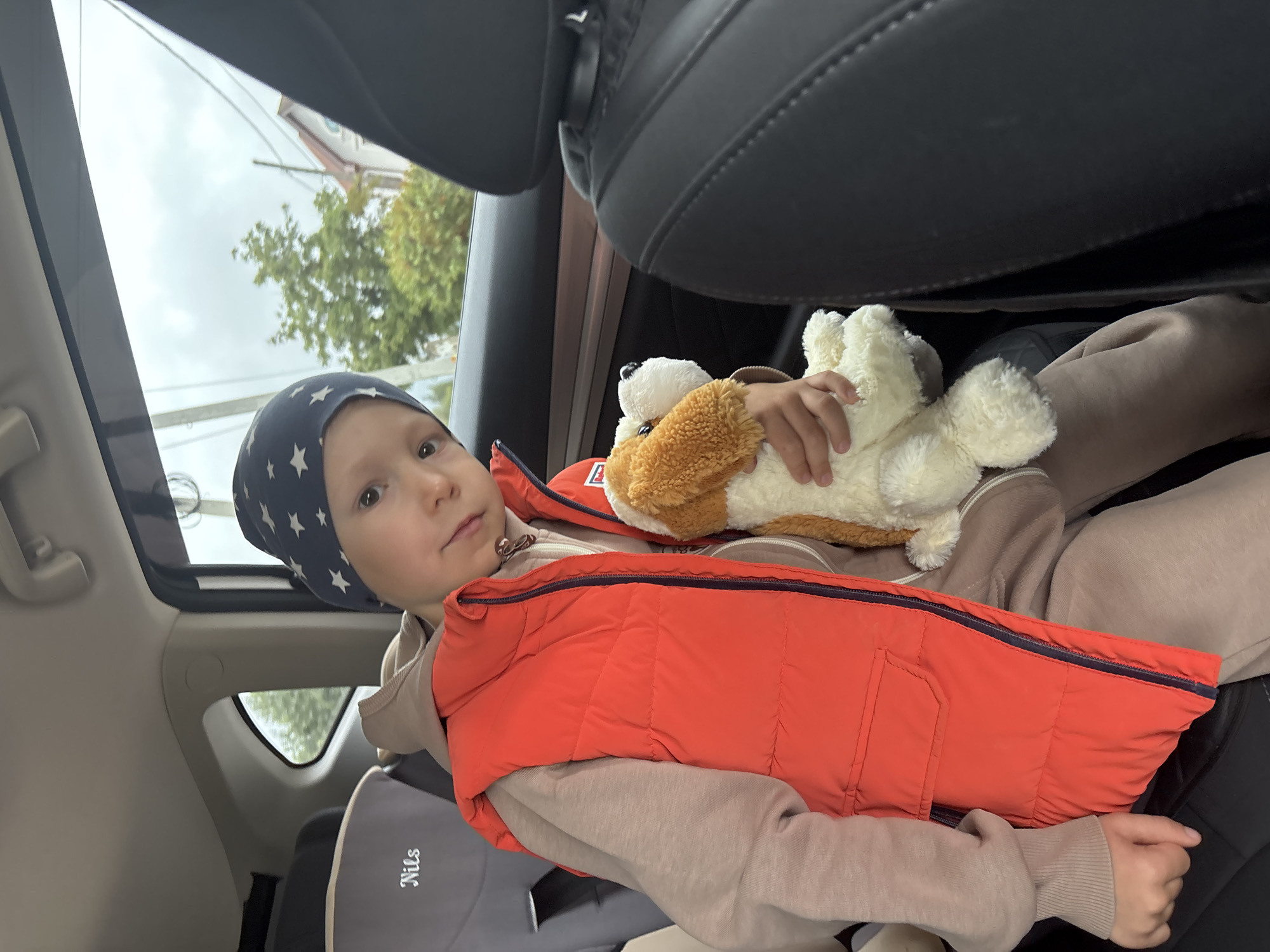 The scene is set inside a vehicle, with the stated location being the city of Chaikovsky, Russia. A young child, appearing to be male and approximately 4-7 years old, is seated in the rear passenger compartment. The child is wearing a dark blue beanie with white star patterns, an orange puffer vest with a visible dark blue zipper, a light beige or tan hooded sweatshirt underneath, and matching light beige or tan sweatpants. His left hand rests on the vest, while his right hand holds a light brown and white stuffed dog toy. The child is looking directly towards the camera with a neutral expression and a slight head tilt.
To the child's left, a grey car seat or booster seat is visible, bearing the name "Nils" embroidered in white cursive text. The car interior features dark-colored (likely black) upholstered seats, a light grey headliner, and dark-toned door panels. Through the car window on the child's right, an exterior environment is visible, characterized by an overcast or cloudy sky, green trees, utility poles with wires, and a portion of a residential building with a reddish-brown roof and light-colored walls in the distance. The lighting appears to be natural daylight, diffused by the cloudy conditions.