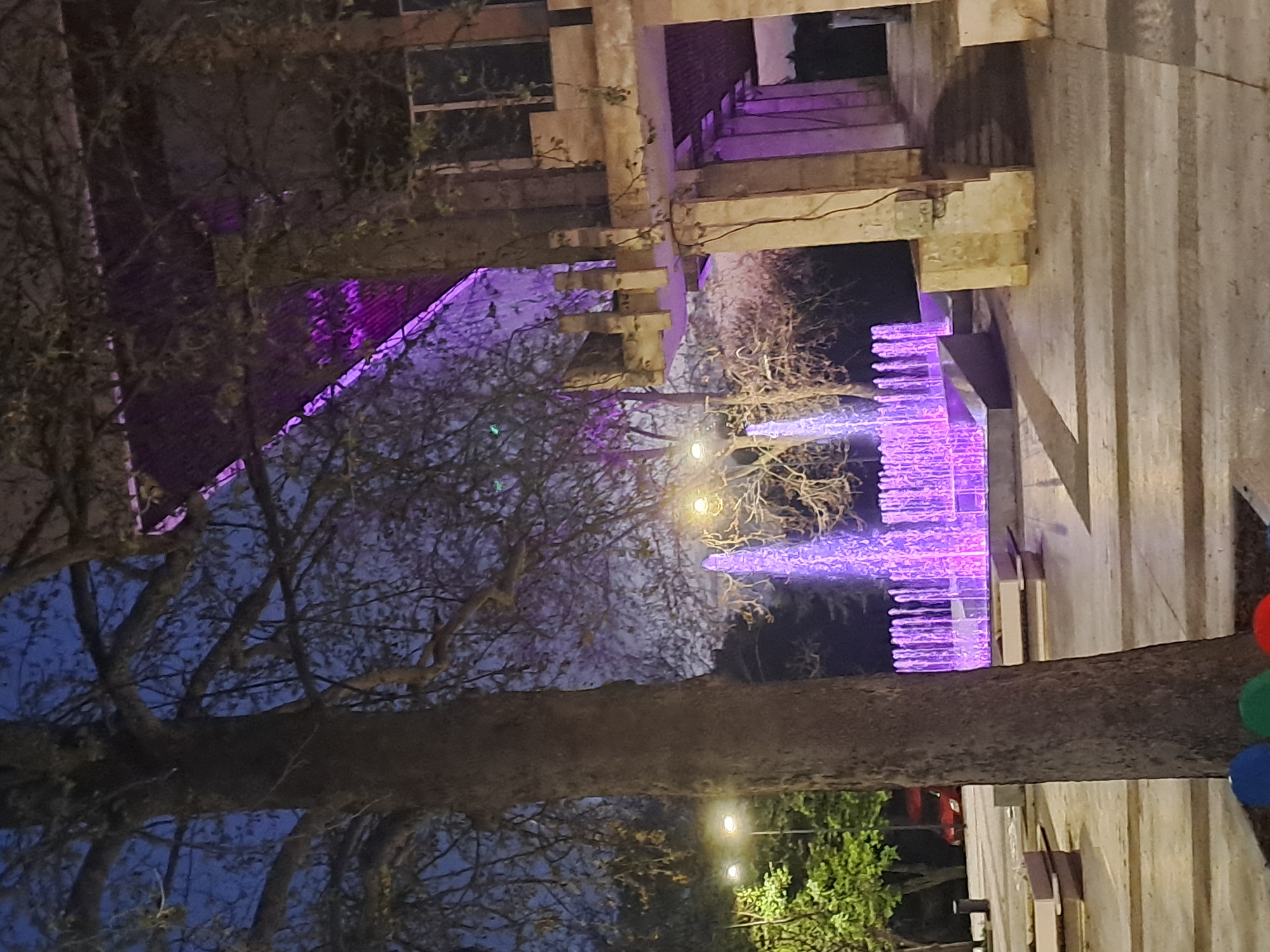 The image depicts a nighttime scene in an urban environment. A large tree with bare branches dominates the foreground, its trunk and branches casting shadows and obscuring parts of the background. Behind the tree, there is an architectural structure, possibly a building, illuminated with purple lights. In the distance, a water fountain also lit with purple lights is visible. To the right of the image, there appears to be a sidewalk with a concrete or stone surface. The overall lighting is dim, with the purple lights providing the primary source of illumination. The exact location within the city of Unknown, Unknown is not discernible from the image.