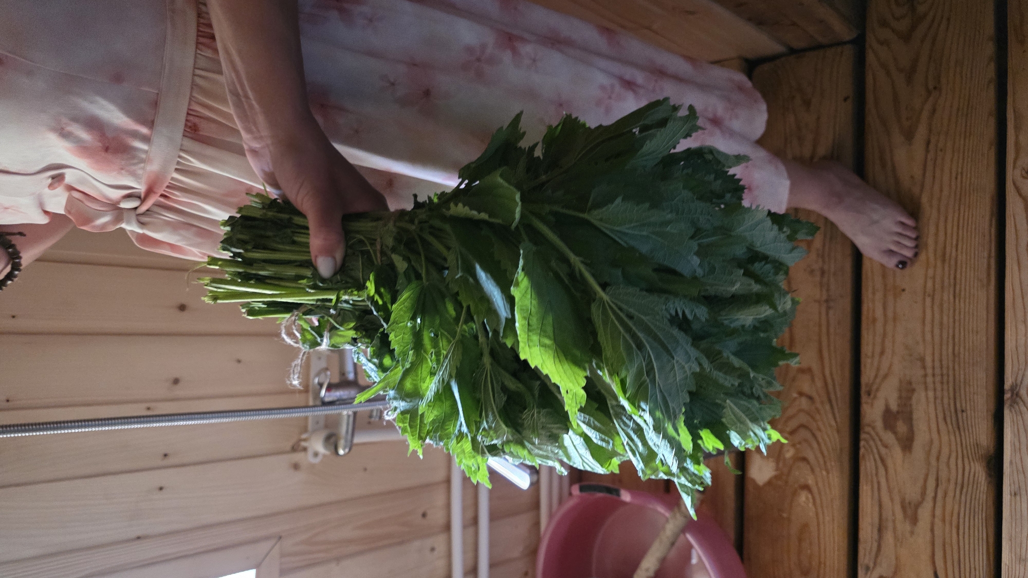 In this image, a person, likely female given the attire and visible foot, is holding a large bunch of freshly harvested green plants, possibly nettles. The person is wearing a pale pink dress with a floral pattern. Their left hand, with a light-colored manicure, is gripping the stems of the plants. To the right, a bare foot with dark nail polish rests on a wooden floor. The setting appears to be a rustic wooden room, possibly a sauna or bathhouse, with visible wooden planks on the walls and floor. A metal rod or hanger is mounted on the wall. In the background, a pink bucket and what looks like a branch or handle are partially visible. The lighting suggests it could be daytime, with natural light possibly entering from a window out of frame. The overall impression is one of a natural, perhaps traditional, practice related to the use of the harvested plants. The scene is set in Купоярово, Russia.