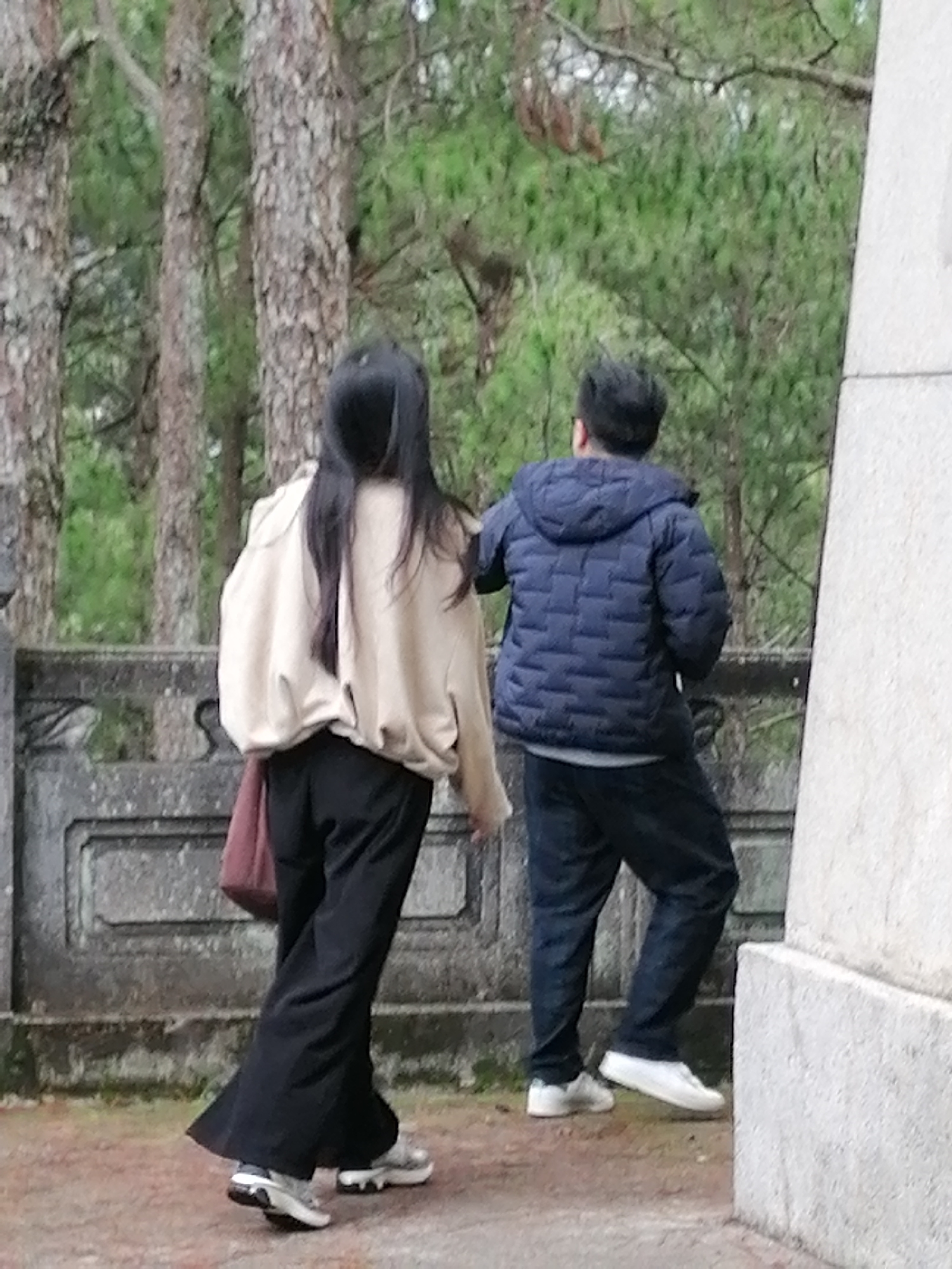 An outdoor, eye-level shot captures two individuals walking away from the camera in what appears to be a natural or historical setting within Cam Ly - Đà Lạt, Vietnam. The atmosphere suggests a cool, possibly overcast day, given the clothing worn by both subjects.
On the left, a female figure with long, straight dark hair is seen from behind. She is dressed in a light beige or cream-colored oversized sweatshirt, loose-fitting black wide-leg pants, and chunky white and silver sneakers. A reddish-brown bag hangs from her left shoulder. To her right, slightly ahead, a male figure is also viewed from the back. He wears a dark blue puffer jacket with a hood, dark trousers, and white sneakers.
The immediate foreground shows a reddish-brown path or ground. Behind the individuals, a weathered grey stone wall or railing, adorned with simple relief patterns, runs horizontally across the midground. In the background, tall pine trees with textured, brownish bark dominate the scene, interspersed with lush green foliage, characteristic of the pine forests found in Đà Lạt. To the far right, a large, light-colored stone structure or monument is partially visible, hinting at a structured, possibly historical, element within the natural landscape. No text is visible in the image.