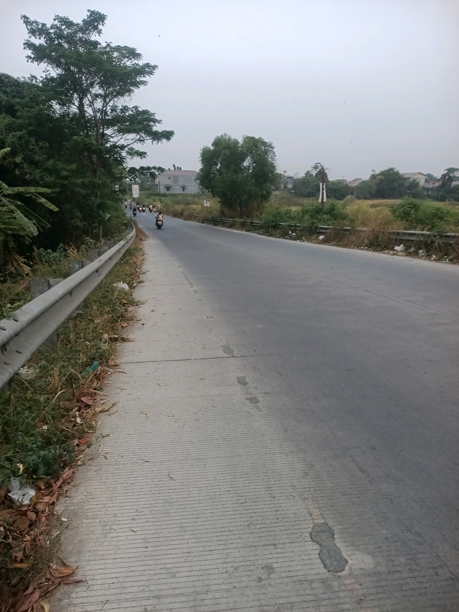 The image depicts a paved road in Telagaasih, Indonesia, with a concrete sidewalk on the left side. The road curves gently to the right and recedes into the distance. Several motorcycles are traveling along the road, some carrying passengers. Vegetation, including trees and bushes, lines the sides of the road, with some dry leaves and debris present on the sidewalk and road shoulder. In the background, houses and more trees are visible under an overcast sky. A metal guardrail separates the sidewalk from the grassy embankment to its left. The scene appears to be an everyday view of a road in a semi-urban or rural area.