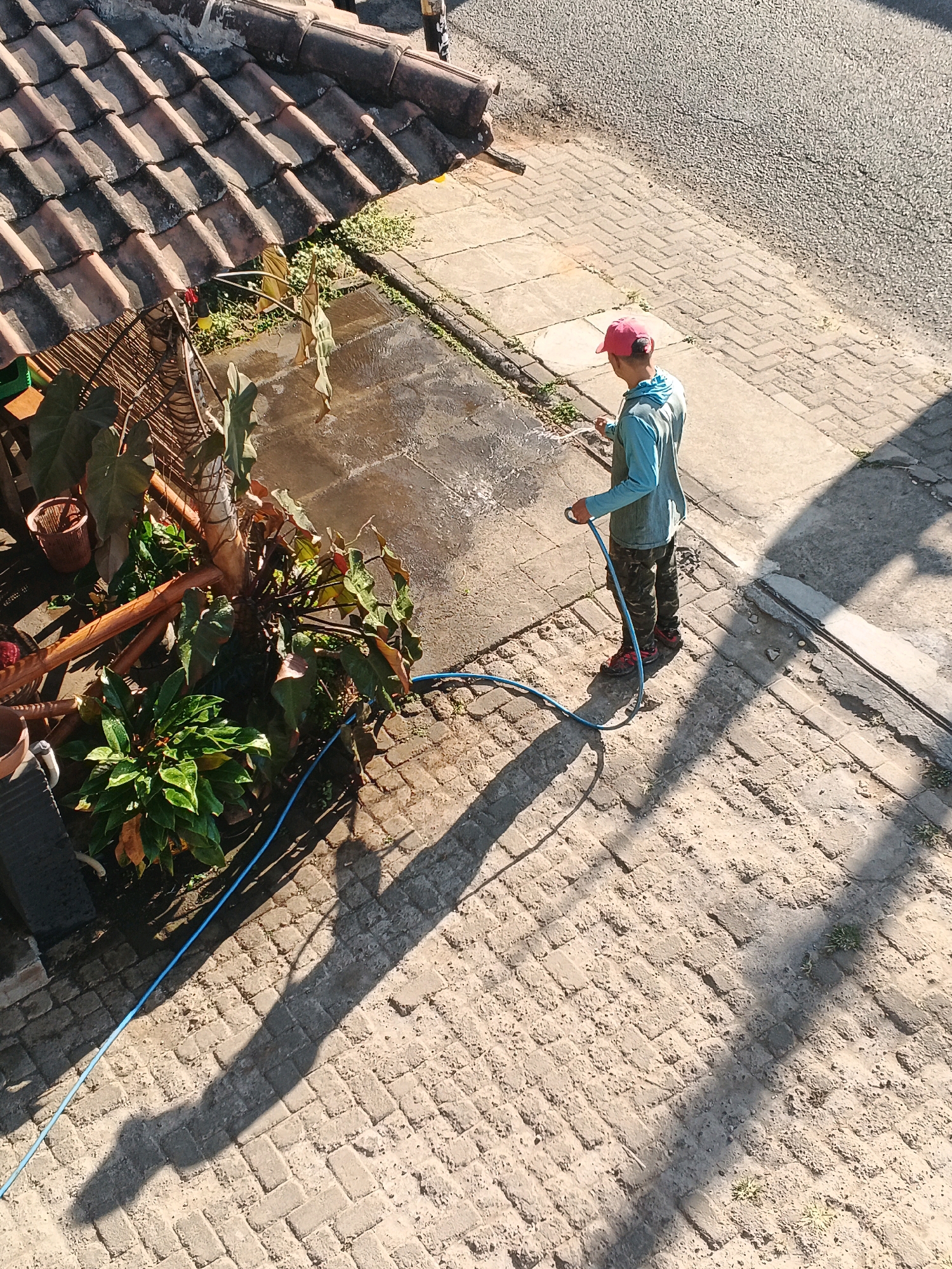 In Bocek, Indonesia, a person wearing a teal long-sleeved shirt, camouflage pants, red shoes, and a pink baseball cap is watering plants with a blue hose. The person is standing on a paved area with brick-like stones. To the left, there are various plants, some in pots, and a portion of a tiled roof is visible. The ground is partially wet from the watering. Sunlight casts a long shadow from the person and the plants onto the ground. The scene appears to be an outdoor area, possibly a residential yard or garden, with a paved walkway or driveway.