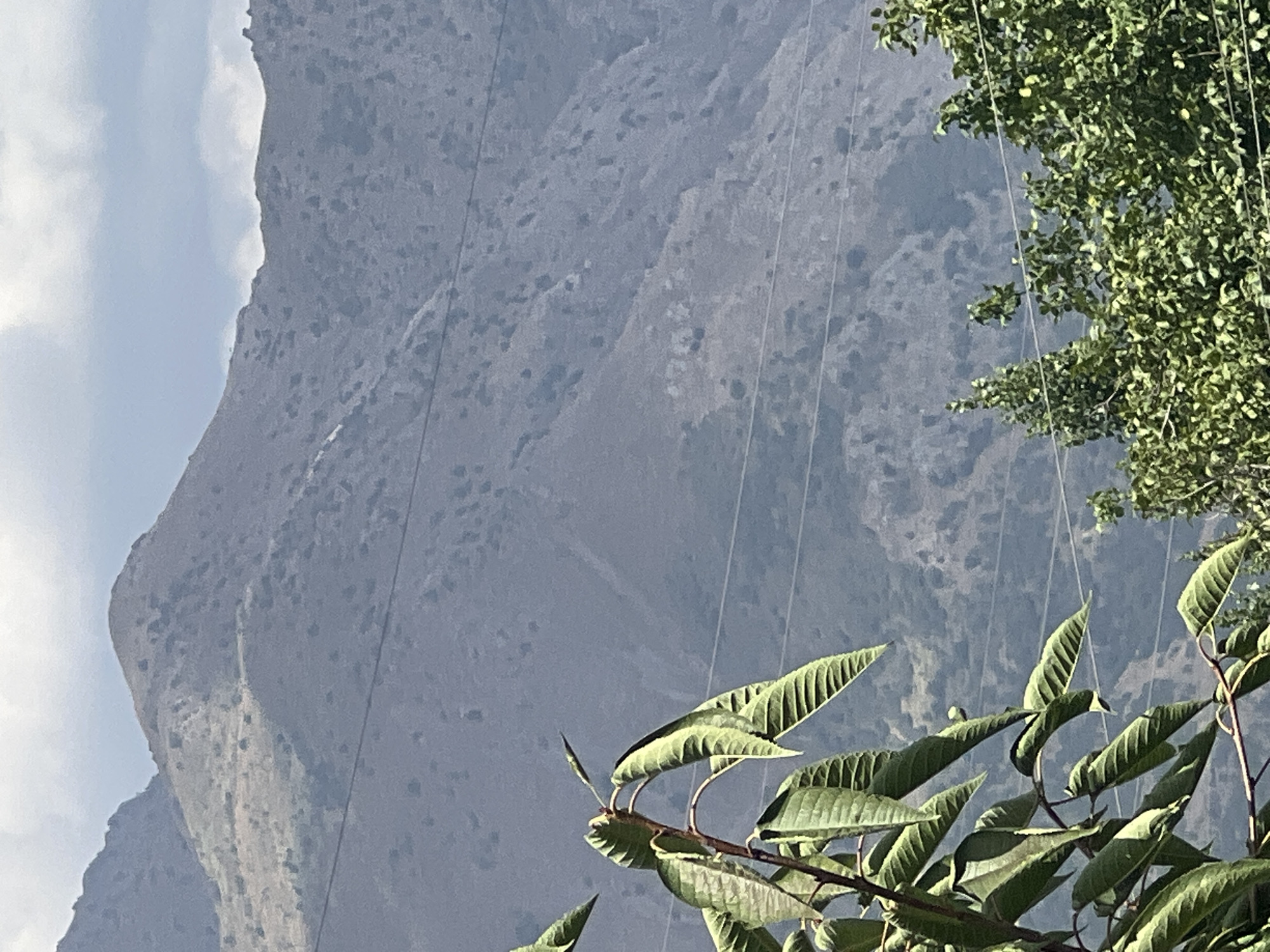 The image shows a mountainous landscape with some vegetation in the foreground. The mountains are covered with dry brush and scattered trees. There are several power lines running across the image, obscuring some of the mountain detail. In the foreground, a tree with large, green leaves is visible on the left side of the frame. On the right side, the tops of several other trees with dense green foliage are present. The sky above is partly cloudy. The location is identified as Yusuphana, Uzbekistan, suggesting a natural, possibly rural or semi-rural setting within or near the city. There are no people or specific actions depicted.
