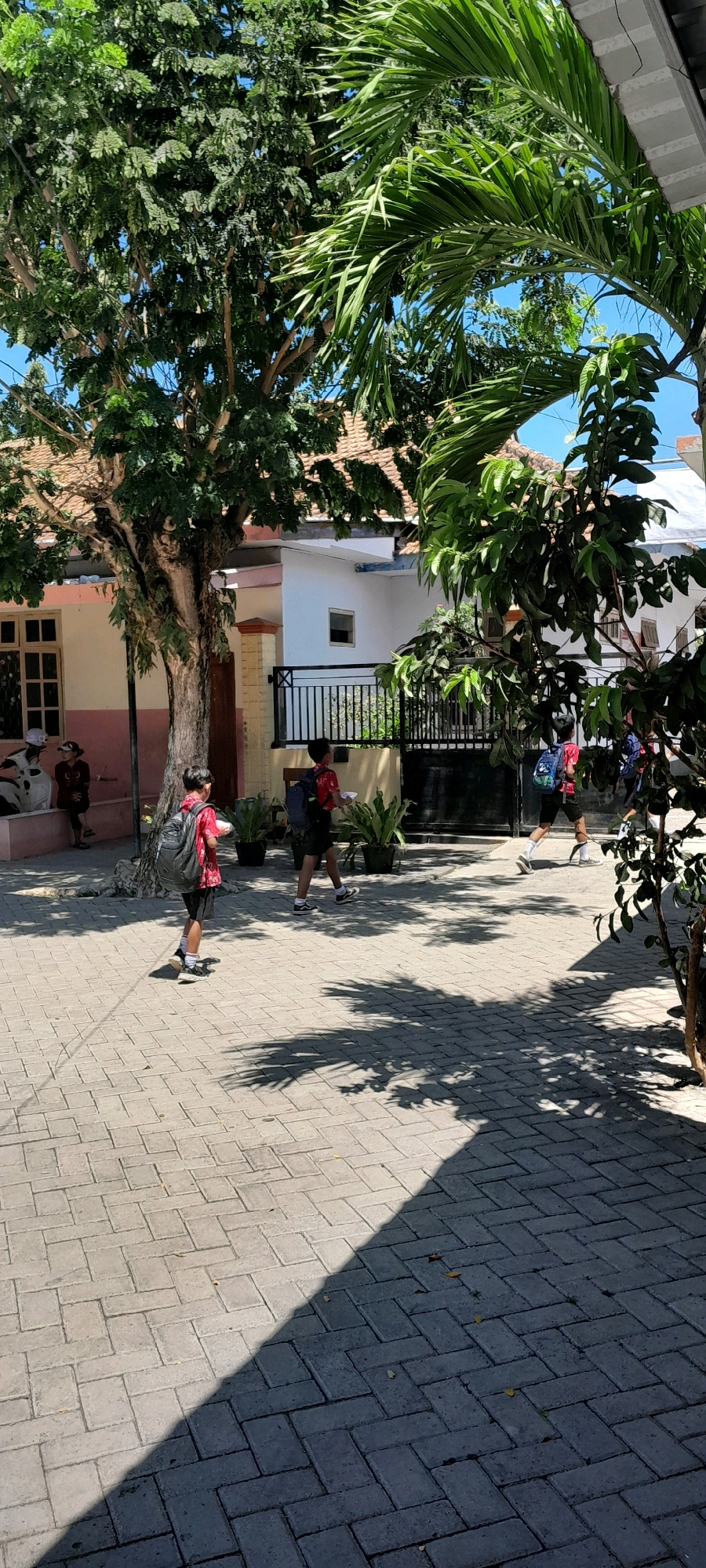 In Lemahbang Dewo, Indonesia, under a clear blue sky, a paved walkway is lined with lush green trees and foliage. In the foreground, a young boy with a black backpack walks away from the camera, holding a white bowl in his right hand. He is wearing a red and white patterned shirt and black shorts. Further down the walkway, another boy, also with a backpack, walks in the same direction, holding a similar white bowl. He is dressed in a red shirt and black shorts. To the left, two individuals are seated on a low pink wall, observing the scene. Behind them, a building with a light-colored facade and a tiled roof stands, partially obscured by a large tree with a rough, textured trunk. A black metal gate encloses an area with potted plants. The sunlight casts distinct shadows from the trees onto the patterned brick walkway, creating a dappled effect.