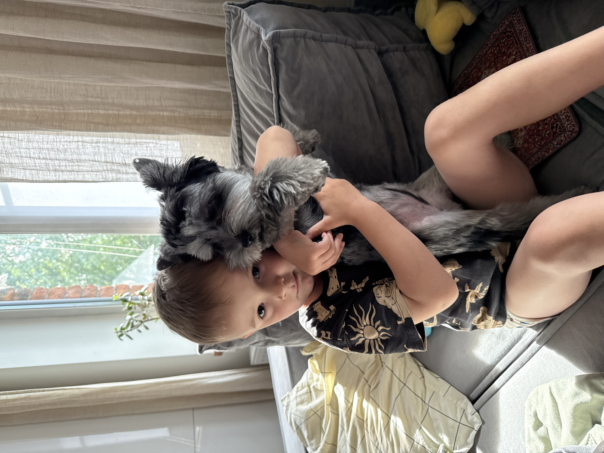 A young Caucasian boy with light brown hair, wearing a black t-shirt with a sun and lion motif, is holding a small gray schnauzer dog. He is sitting on a gray sofa, with his legs extended. The dog is nestled in his arms, with its face close to the boy's. The boy's expression is a neutral gaze towards the camera. Behind them, a large gray cushion is visible, and to the left, a yellow and white striped blanket is partially visible. To the right of the sofa, a small red rug and a yellow plush toy are on the floor. In the background, a window with light-colored curtains is open, revealing trees and a brick building. The scene is indoors, likely a living room in a residential building in Chaikovsky, Russia, given the context of the location. The lighting suggests it is daytime, with sunlight streaming through the window.