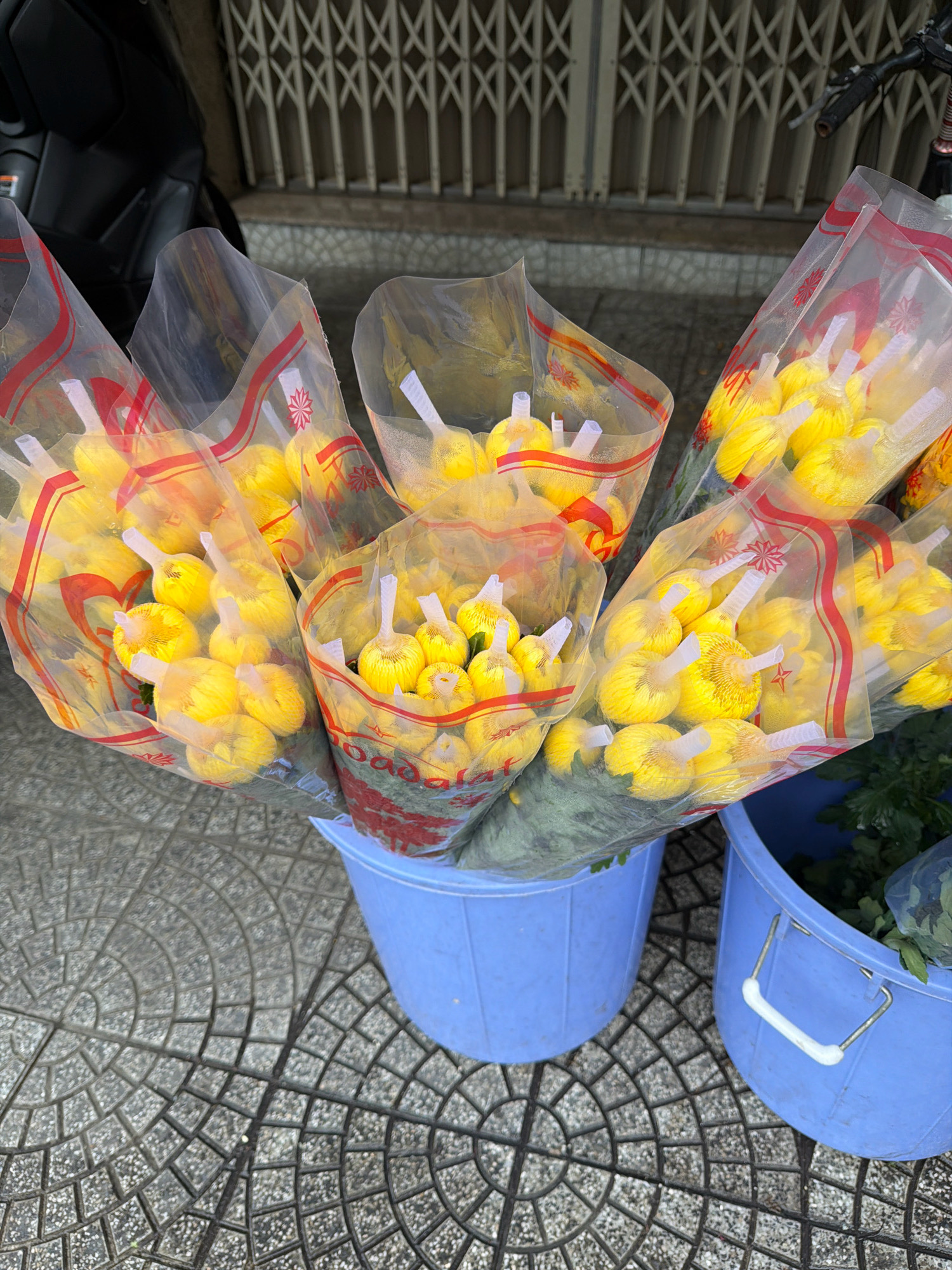 At ground level, in what appears to be an outdoor market in Đà Nẵng, Vietnam, numerous bouquets of bright yellow flowers are displayed. The flowers are tightly bundled and packaged in clear plastic sleeves with red and white decorative bands. Several of these bouquets are arranged in a large, light blue plastic bucket. Another similar blue bucket, containing more greenery and some plastic packaging, is visible to the right of the first bucket. The ground is paved with patterned tiles, featuring concentric circular and radial designs. In the background, a dark-colored motorcycle is partially visible, and a metallic security gate with a crisscross pattern is mounted on a wall. The scene suggests a vendor preparing or displaying flowers for sale in an urban setting.
