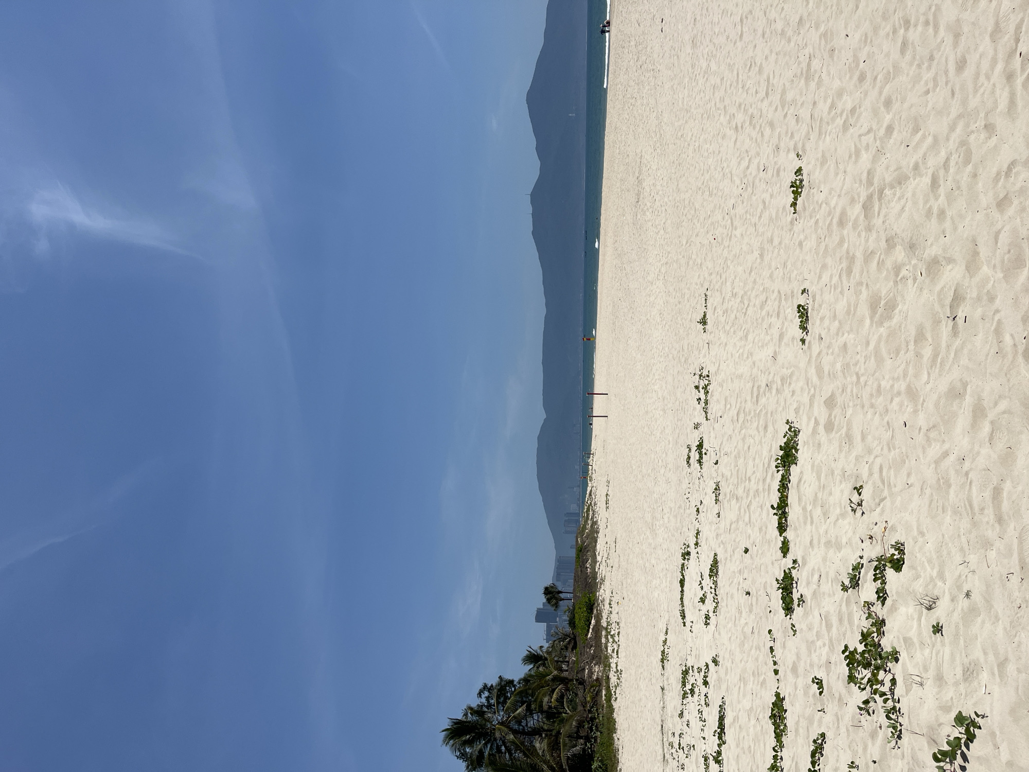 The image depicts a beach scene in Đà Nẵng, Vietnam. The sky is a clear blue. Mountains are visible in the distance. The beach is sandy, and sparse vegetation grows on it. Palm trees line a section of the beach. People are present but small and distant.