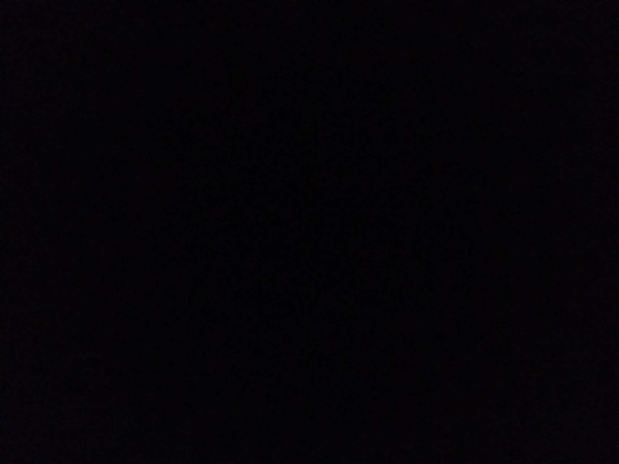 The image is completely black and contains no discernible details. It is impossible to determine any subjects, objects, actions, interactions, environment, or location.