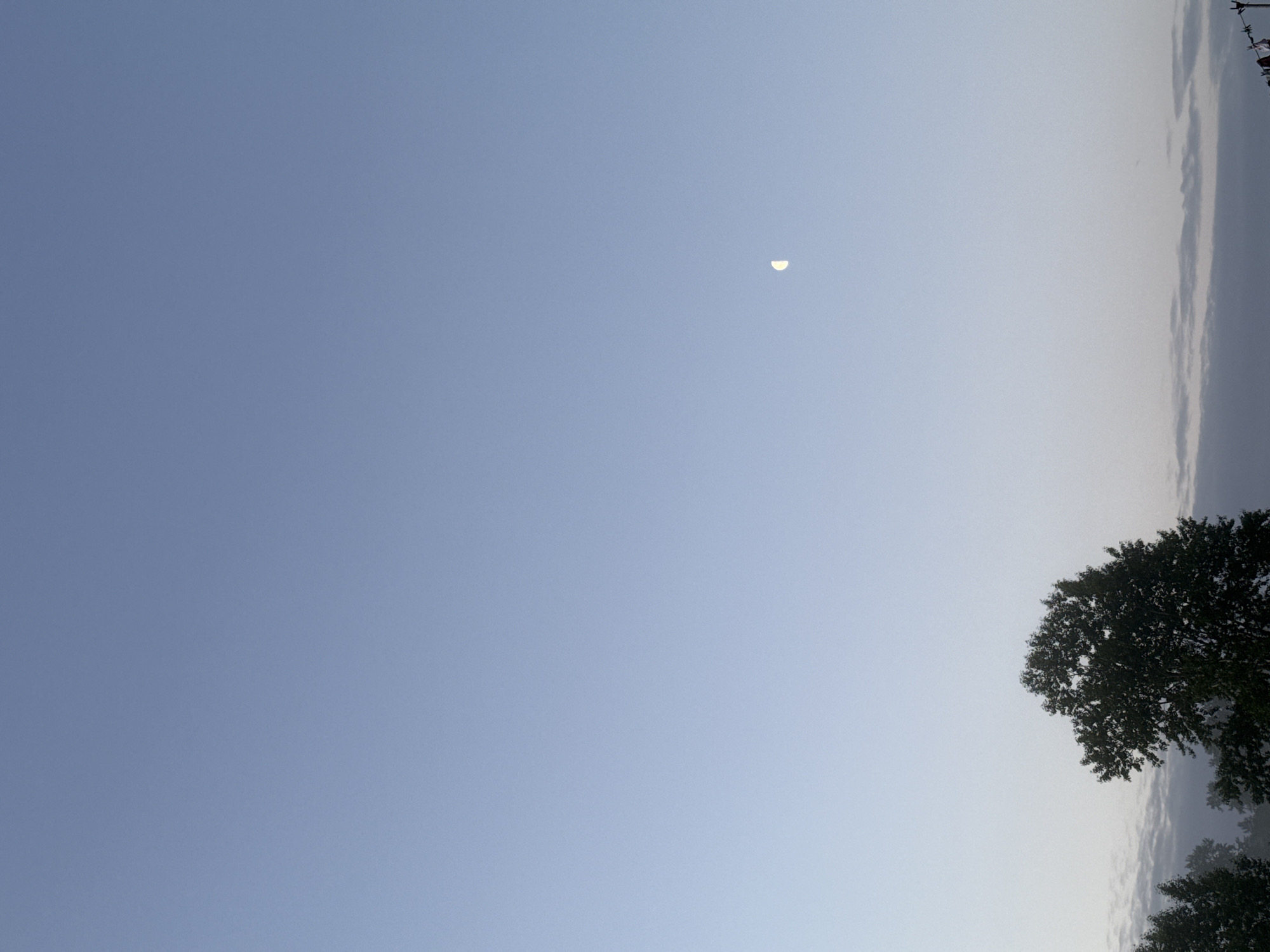 The image depicts a wide-angle view of the sky at dusk or dawn, with a light blue gradient fading to a paler shade near the horizon. A crescent moon is visible in the upper right quadrant of the sky. Silhouetted against the sky at the bottom are the tops of trees. There is a suggestion of thin, wispy clouds along the horizon line. The scene is peaceful and serene, with no people or specific urban elements immediately identifiable that would pinpoint a location within Уральское, Russia.