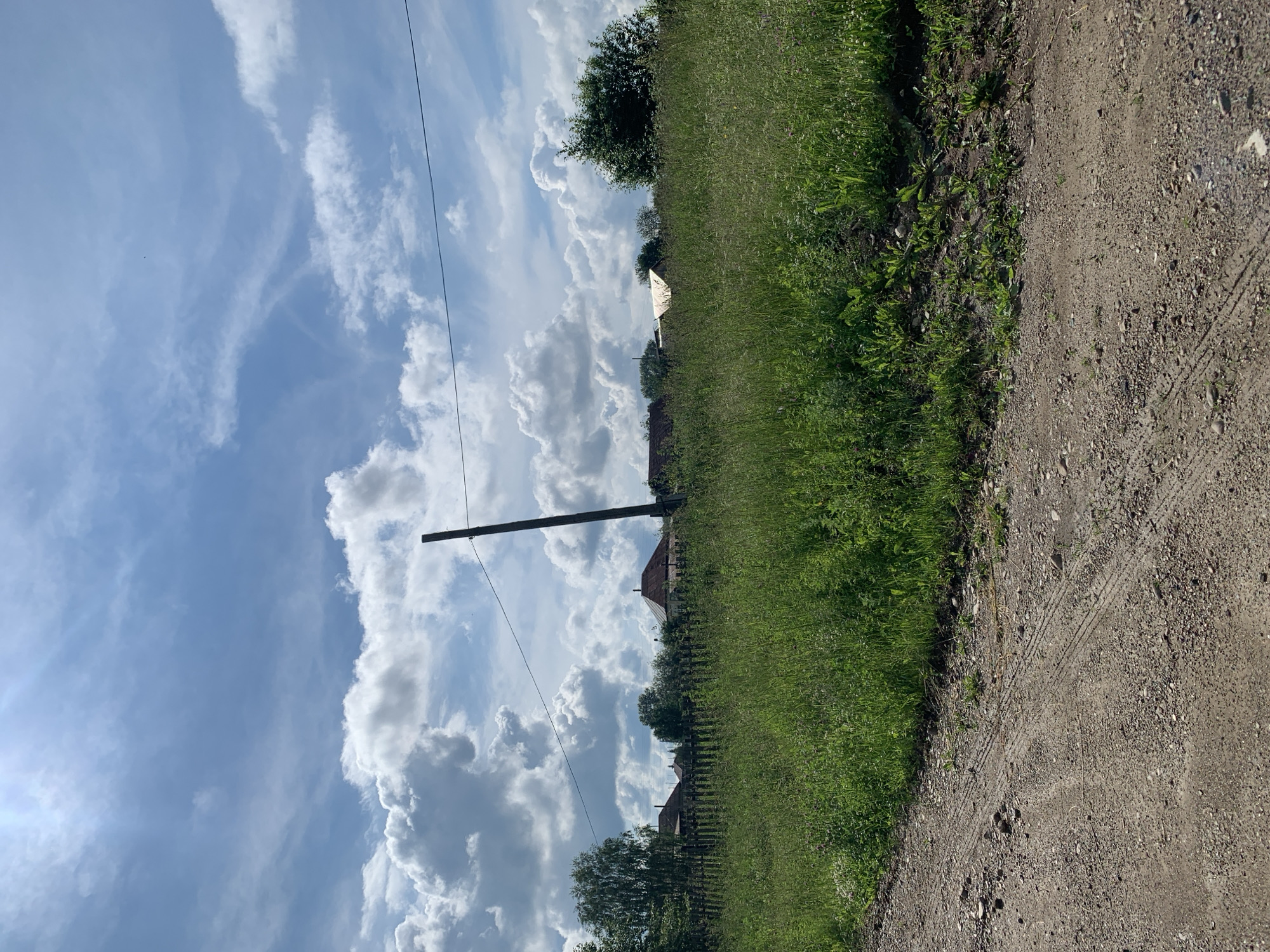 The image depicts a rural scene under a bright, partly cloudy sky. In the foreground, a dirt road with tire tracks leads away from the viewer and curves to the left. Adjacent to the road is a dense field of tall green grass and various wildflowers. In the midground, a wooden fence runs horizontally across the frame, separating the field from a collection of houses with reddish-brown roofs. Trees are visible behind the fence and between the houses. A solitary wooden utility pole stands vertically in the right-center of the image, with a power line stretching horizontally across the upper portion of the frame. The overall environment suggests a summery day in a village or countryside location. The location is identified as Barsai, Russia. There are no people or animals visible in the image.