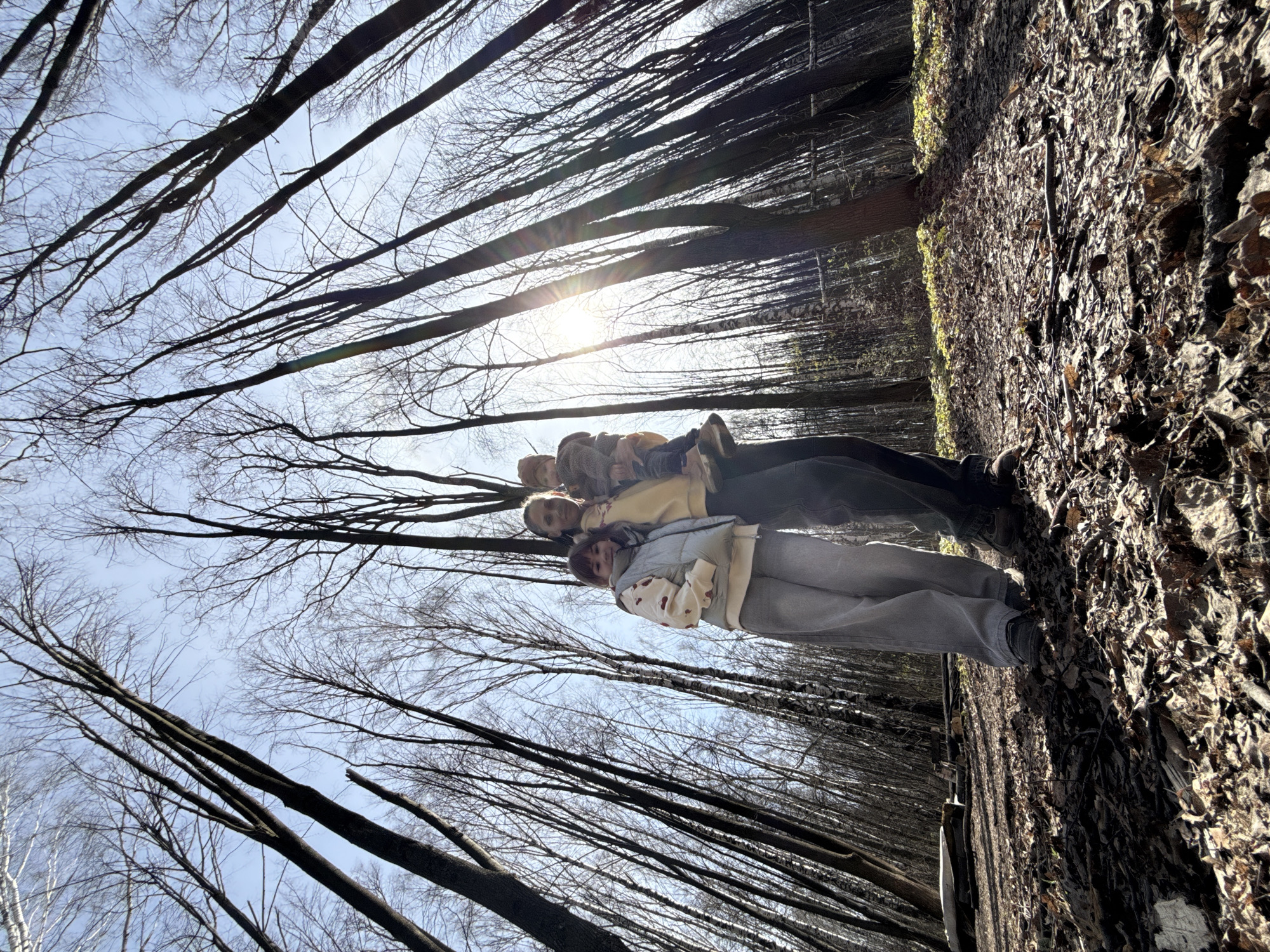 A group of four individuals stands on a path in a bare deciduous forest, posing for a photograph. The setting suggests late autumn or early spring, as the tall trees have no leaves on their branches, which form a dense network against a clear blue sky. The ground is entirely covered with a thick layer of dry, brown fallen leaves.
The people are dressed in warm, casual clothing suitable for cool weather. The person closest to the viewer on the left wears a light-colored puffer vest over a patterned long-sleeved top and grey pants. Next to them, another individual wears a light brown or yellow hooded jacket. Further back, two more people are visible, one in darker attire and another partially obscured. They are standing closely together, with some looking towards the camera.
Bright sunlight filters through the bare tree branches from the upper right of the frame, creating a visible sun flare and casting a warm glow over the scene. The low angle of the shot emphasizes the height of the trees and the vastness of the sky above. The forest extends into the background, showcasing numerous tree trunks and branches. No text is visible in the image.