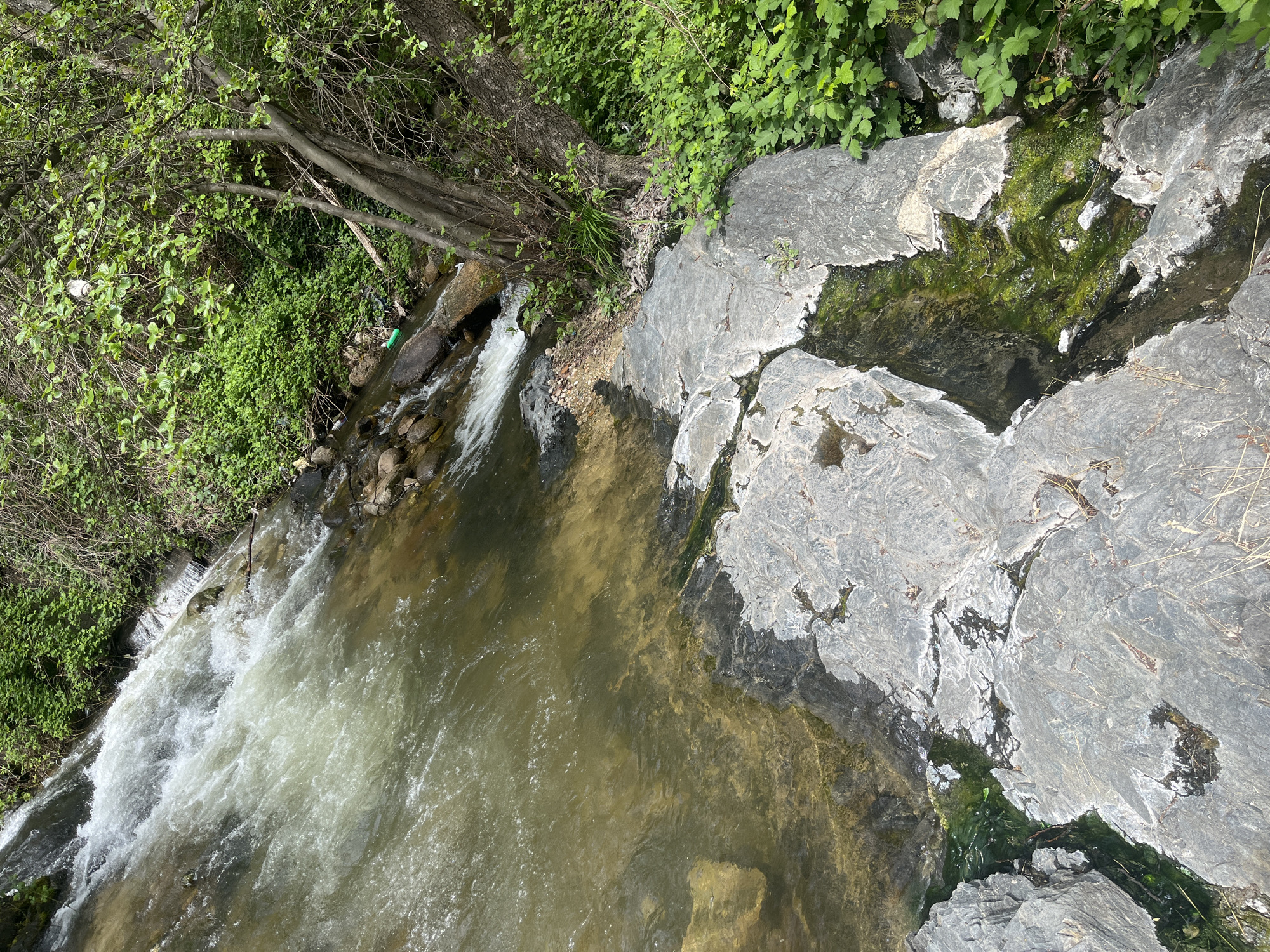 A high-angle shot captures a flowing stream or river, situated next to jagged gray rocks covered with patches of green moss. Dense green foliage and the branches of trees frame the scene on the left and top edges. The water flows downwards, transitioning from murky water to rapids near the bottom left. The location appears to be a natural, outdoor environment of Unknown, Unknown.