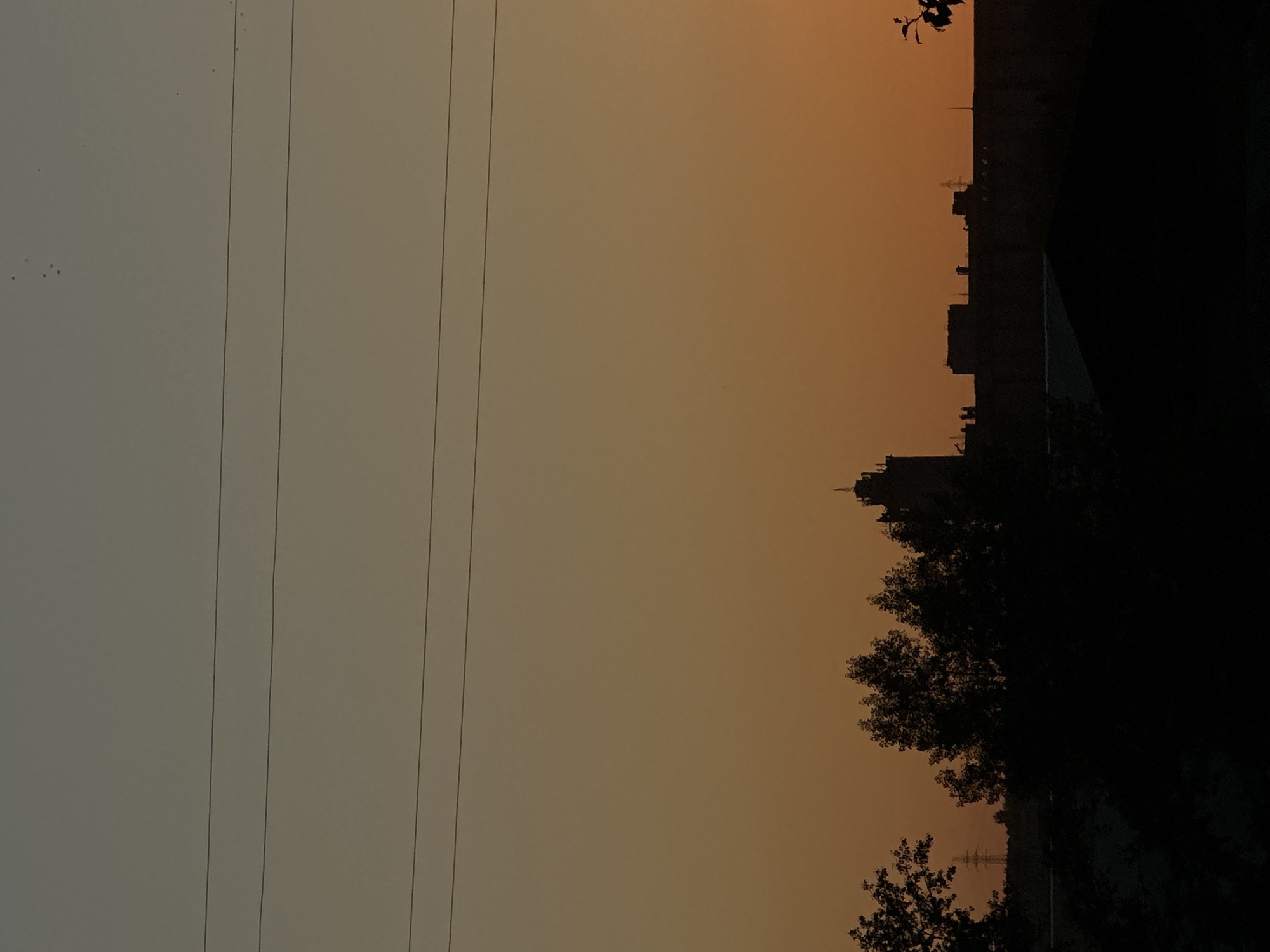 The image captures a silhouetted landscape at dusk, with a striking gradient sky transitioning from a pale grey at the top to a warm orange near the horizon. Three thin, dark power lines stretch horizontally across the upper portion of the frame. In the middle ground, a dense line of dark trees forms a silhouette against the sky. Behind the trees, the faint outline of buildings and structures is visible, including a prominent, taller building with a distinct shape resembling a tower or spire. To the left of the trees, a tall, lattice-like power transmission tower is also visible in silhouette. The foreground is dominated by a deep black silhouette of what appears to be rooftops or dense foliage, obscuring any details below. There are no visible people or specific actions taking place. The scene evokes a sense of urban twilight. The specific location in the city of Biysk, Russia, cannot be determined from the visual information provided in the image.