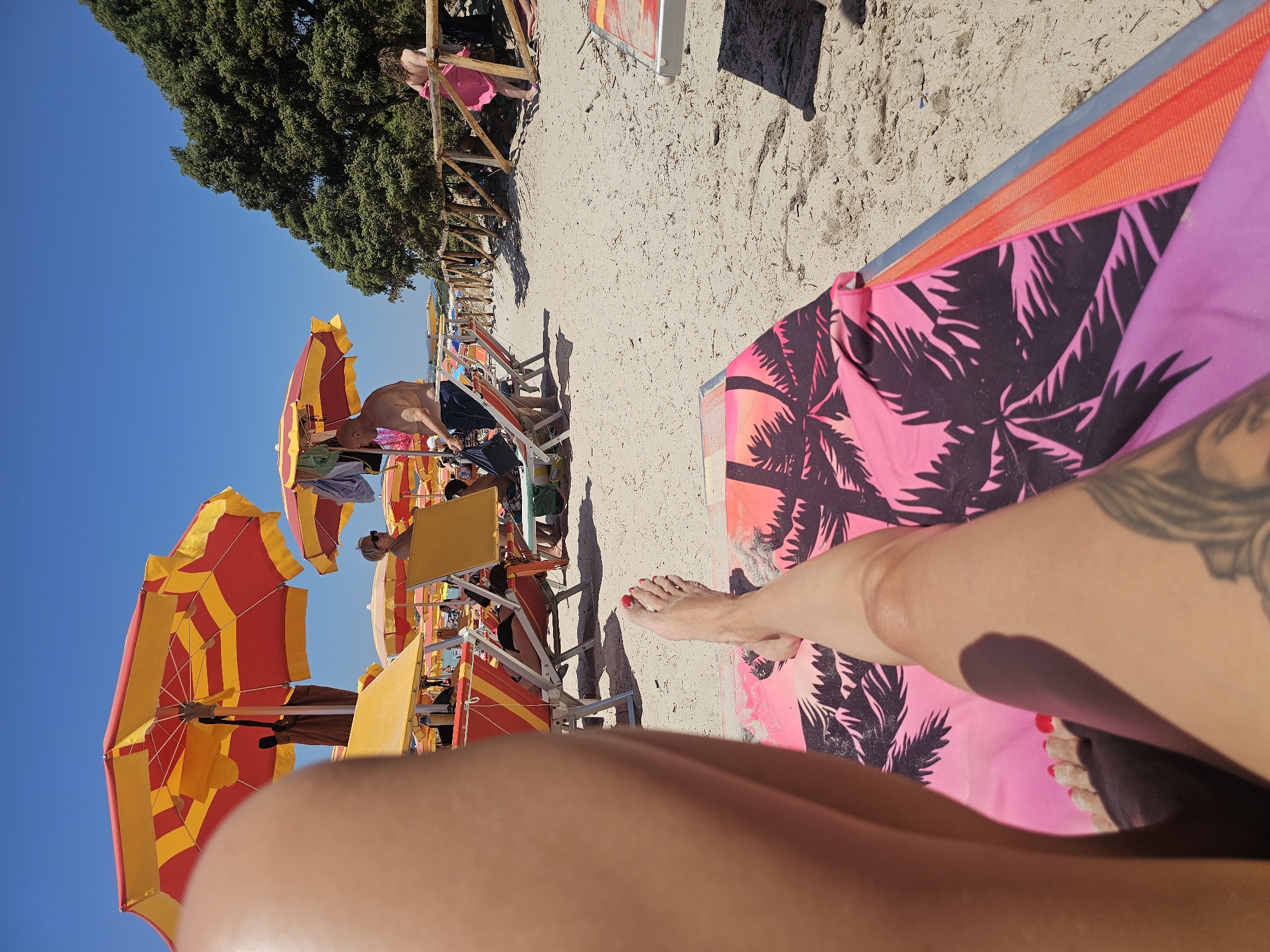 The image shows a sunny day at a beach. In the foreground, a person's legs are visible, resting on a lounge chair with a pink and black palm tree pattern. The person's feet, with red painted toenails, are also visible. Beyond the lounge chair, the sandy beach is lined with several rows of lounge chairs and colorful umbrellas, some red and yellow, others yellow and orange. People are seated on the lounge chairs, some appear to be reading or relaxing. In the background, there is a wooden fence and a lush green tree. The sky is clear blue. The scene suggests a recreational setting at a beach resort.