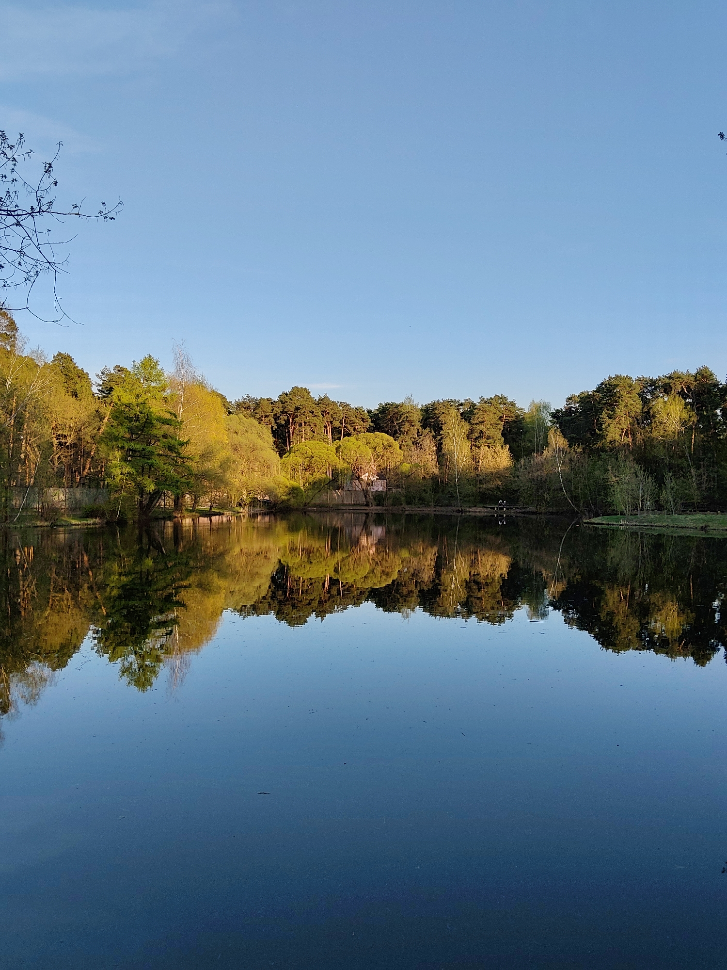 The image depicts a tranquil scene of a pond reflecting a forest under a clear blue sky. The trees along the bank are a mix of deciduous and evergreen species, displaying varying shades of green and yellow, suggesting it might be spring or early autumn. Their reflections are mirrored in the still water of the pond, creating a symmetrical composition. In the center of the image, two individuals are observed standing next to each other, suggesting an engagement in conversation. The water's surface displays only subtle ripples, enhancing the reflections. The sky is clear. Based on the characteristics of the landscape, the image appears to be taken in the Kuzminki-Lyublino Park in Moscow, Russia.