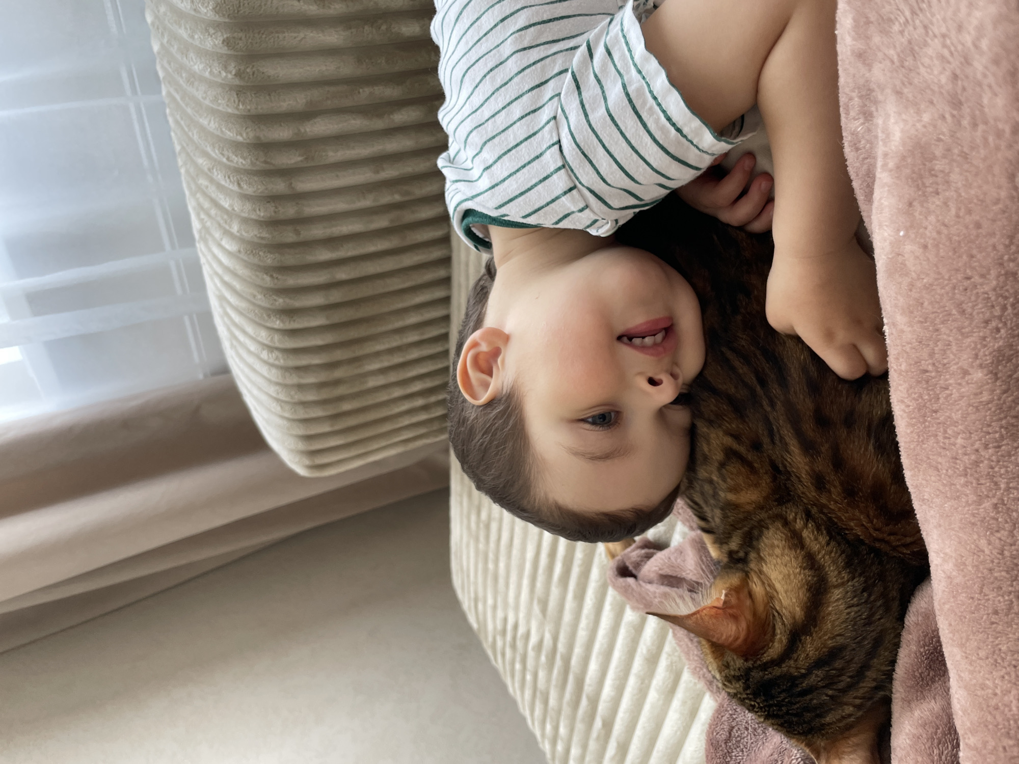 This media file, captured in Izhevsk, Russia, depicts a heartwarming indoor scene featuring a young child and a Bengal cat. The photograph is oriented sideways, showing a fair-skinned child, likely a toddler or preschooler, with dark hair and blue eyes. The child is wearing a white t-shirt with thin green horizontal stripes and has a contented expression with a slight smile on their face.
The child is lying on a light-colored, ribbed sofa or cushion. Nestled beside the child, partially covered by a soft, plush pink or mauve blanket, is a Bengal cat with distinctive brown and black striped and spotted fur. The child's head is positioned close to the cat's body, and one small hand is visible near the cat, suggesting a gentle interaction or shared moment of relaxation. The cat appears calm and is mostly obscured by the blanket, with its head and part of its back visible.
In the background, soft natural light filters through a window, which is adorned with sheer white and light-colored opaque curtains. The floor or carpet in the foreground is a light, neutral shade. The setting appears to be a comfortable living space during the daytime. No text is visible in the image. The overall atmosphere conveys a sense of peaceful companionship and domestic tranquility.