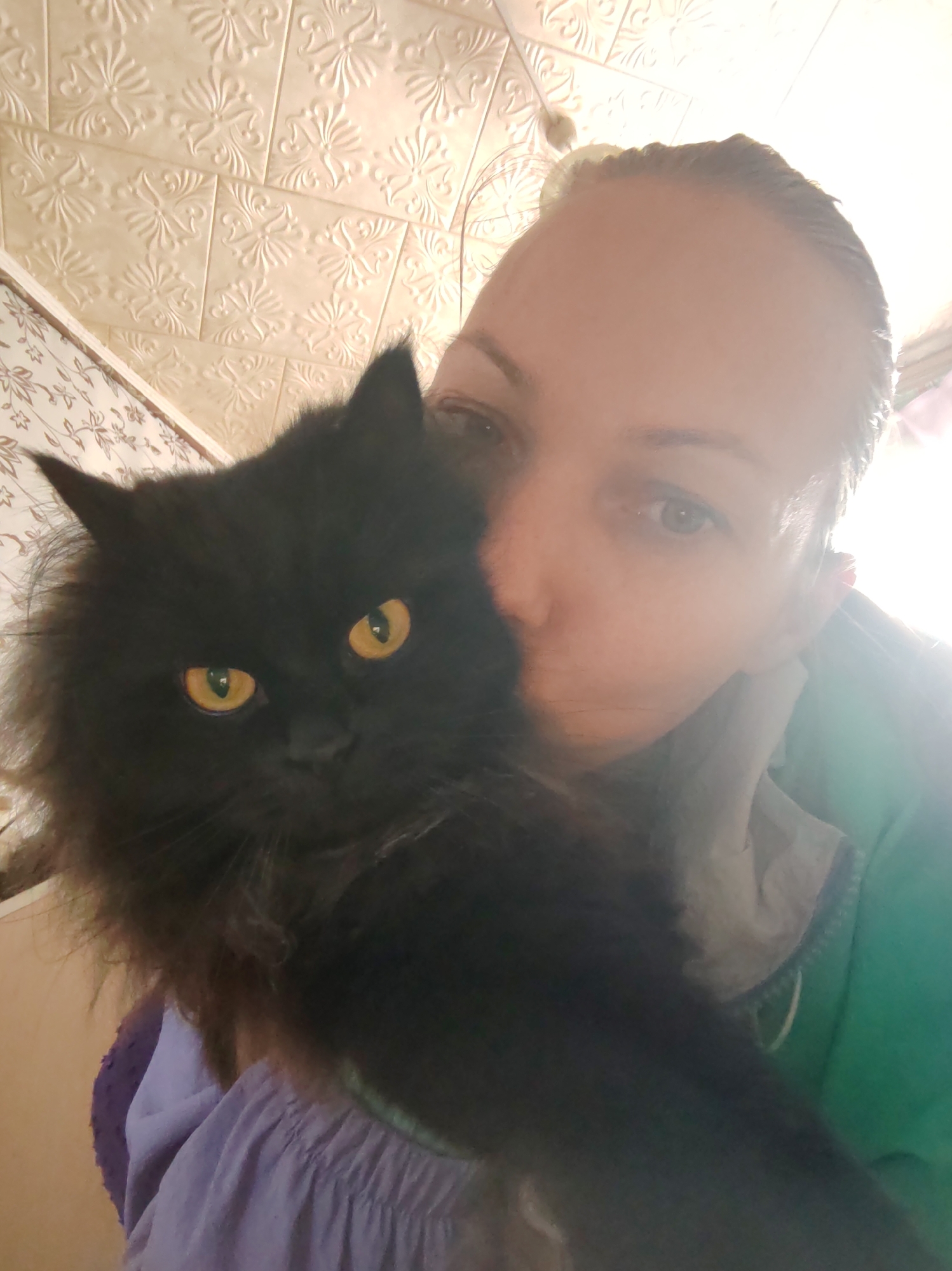 An indoor portrait captures a person affectionately holding a fluffy black cat close to their face. The person, who appears to be a woman, has dark hair pulled back and is visible from the forehead to the chin on the right side of the frame. Her left eye is discernible, while her right eye and much of her face are partially obscured by the cat's head. She wears a green top or jacket, with a glimpse of a purple garment underneath. Her expression is gentle, and her face is brightly lit, likely from a window or strong indoor light source.
The black cat, a long-haired breed, is the prominent subject in the foreground, positioned intently near the person's face. It possesses striking, vivid yellow-orange eyes with vertical pupils that gaze directly at the camera. Its thick, dark fur appears well-groomed around its face. The cat maintains a calm and alert demeanor.
The background consists of decorative ceiling or wall tiles featuring an embossed, ornate floral pattern in a light, neutral color. To the left, a section of patterned wallpaper with a subtler floral design is also visible. The bright, warm lighting suggests the photograph was taken during the daytime. The scene conveys a close and affectionate bond between the person and their pet. The location context for this image is Чухлэм, Russia.