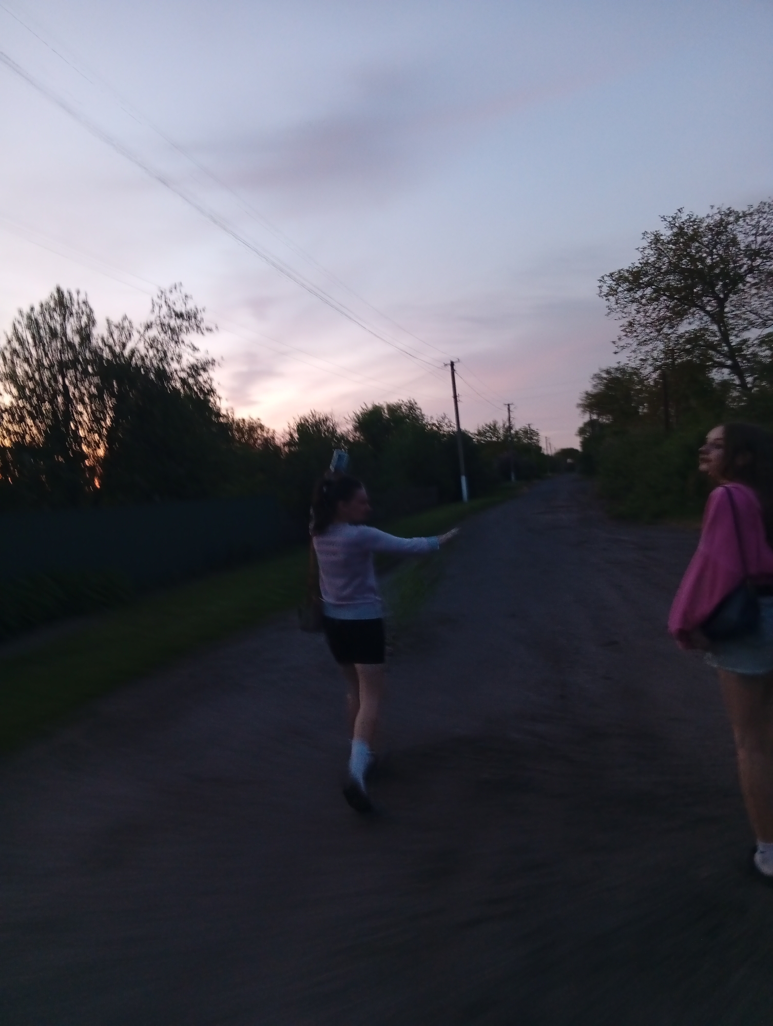 Two young women are walking on a road in Fediivka, Ukraine at dusk. One woman is facing away from the viewer wearing a pale blue sweater, black shorts, and white socks. Her hair is in a ponytail. The other woman is facing toward the right side of the frame, wearing a pink long-sleeved shirt and light denim shorts. She has a dark purse slung over her shoulder. The road is dark and narrow, flanked by trees and vegetation. Overhead power lines are visible. The sky is a mix of grey, purple, and pink.