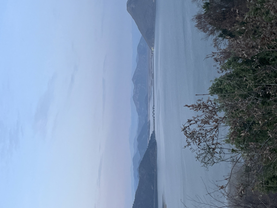 The image depicts a panoramic landscape overlooking a large body of water, presumably Skadar Lake, from an elevated vantage point in the city of Godinje, Montenegro, during twilight. The upper half of the frame features a pale blue sky with faint pinkish hues along the horizon and scattered, wispy clouds. Below the sky, multiple layers of mountains and hills appear in varying shades of dark blue and grey, receding into the distance. The central and mid-ground is dominated by a vast, calm expanse of water, reflecting the subdued sky tones. A long, multi-arched bridge or causeway spans the water in the mid-distance, connecting two landmasses. On the left, a dark, tree-covered peninsula extends into the water. The immediate foreground consists of the tops of various trees and shrubs, some displaying sparse, dry brown leaves, while others retain dark green foliage, partially framing the view. No individuals, animals, or specific human activities are visible within the frame, aside from the infrastructure of the bridge.