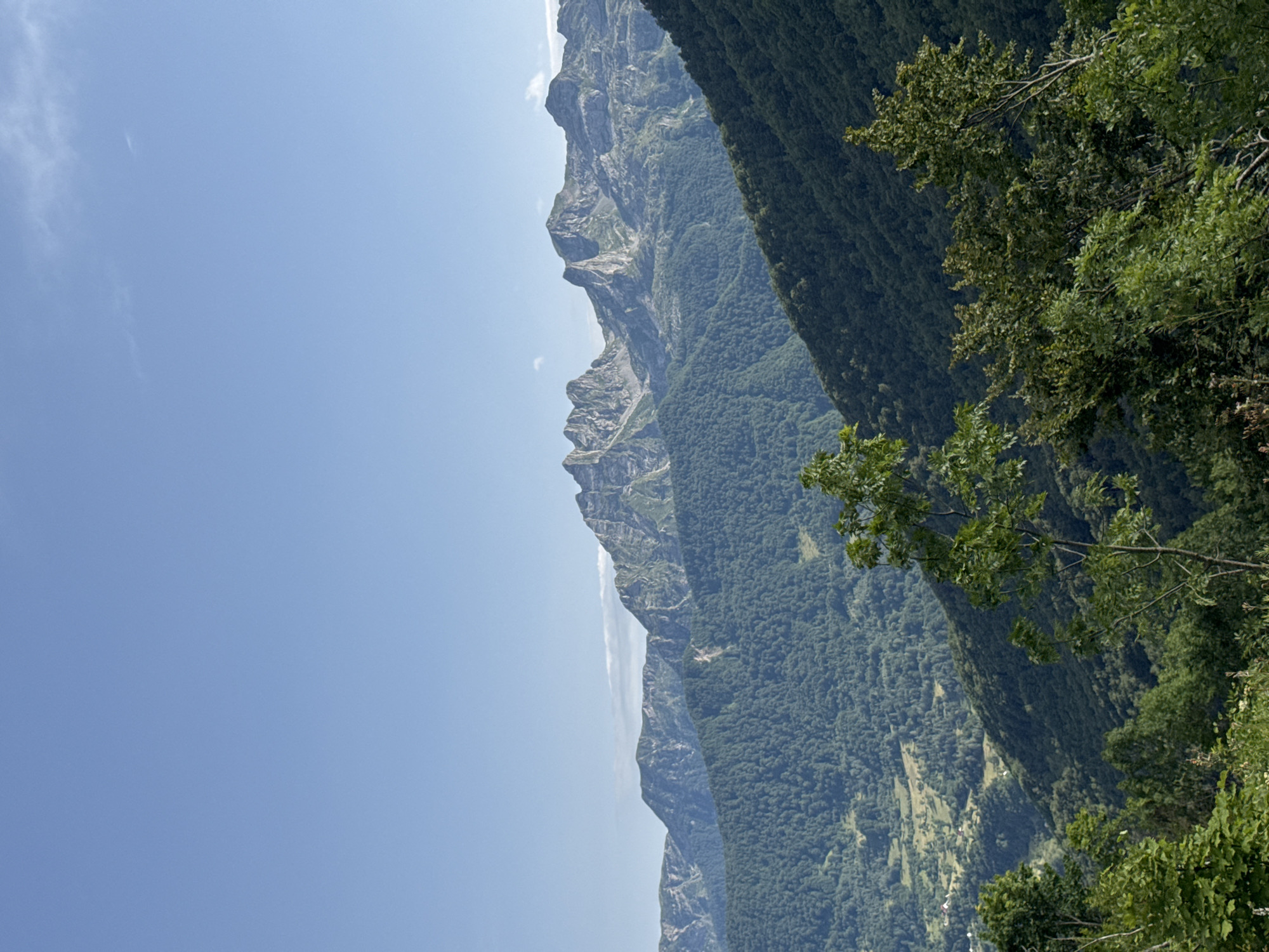 This is a vertical, wide-angle, eye-level shot of a mountain landscape on a clear day. The sky is a pale blue with a few wispy clouds in the distance. The foreground is dominated by the lush green foliage of trees, some of which are in sharp focus while others are blurred. The middle ground features rolling green hills covered in dense forest, with hints of a valley and some scattered houses. In the background, a majestic mountain range with jagged peaks rises against the horizon, showing layers of rock and vegetation. The lighting suggests it is midday, with bright sunlight casting shadows and highlighting the textures of the landscape. The image captures the natural beauty of a mountainous region, likely in or near Dragovića Polje, Montenegro, with a sense of depth and scale. There are no people or animals visible in the frame.