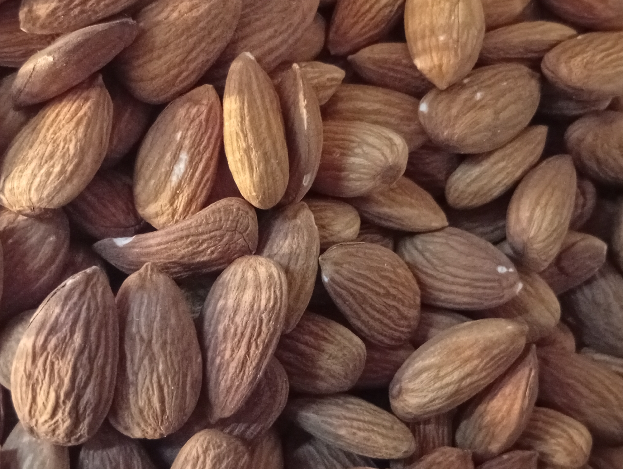 The image shows a close-up of a pile of almonds. The almonds are brown and textured, with ridges and variations in color. The almonds are tightly packed together, filling the frame. The location is unknown and cannot be determined from the image.