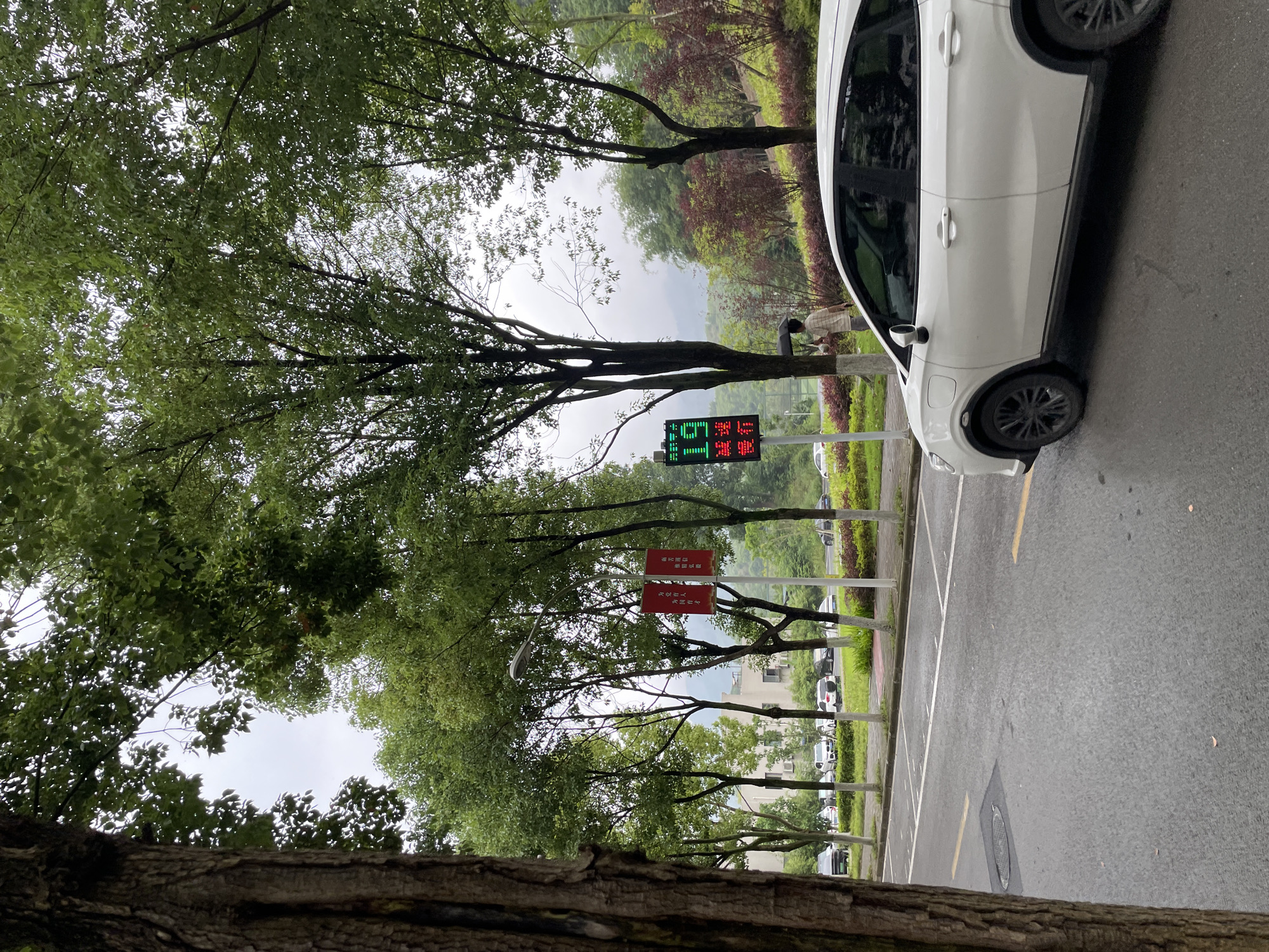 The image depicts a parking area alongside a road in Jiangjin, China. A white vehicle is parked on the right. To the left of the vehicle, there is a digital sign displaying "57" in green numerals, along with red Chinese characters. Further along the roadside, two red banners with Chinese characters are visible. A person is near some bushes. The roadside is lined with trees. In the background, there is a view of lush greenery and hills under an overcast sky. The foreground includes a portion of a tree trunk. The parking lot has defined parking spaces marked with white lines. The road is asphalt.