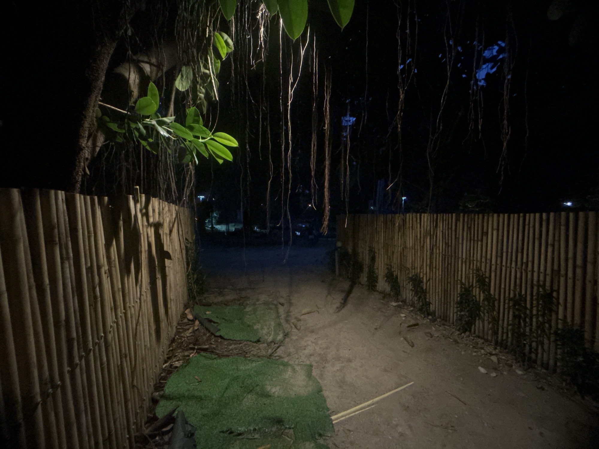The image shows a dark, outdoor path in Baan Sri Thanu, Thailand, bordered by tall, bamboo fences on both sides. The path surface is dirt with patches of green artificial turf. Overhanging the path are thick vines and branches from a tree to the left, with light shining through some leaves. In the distance, faint lights suggest the presence of buildings or streetlights. The scene appears deserted and quiet.