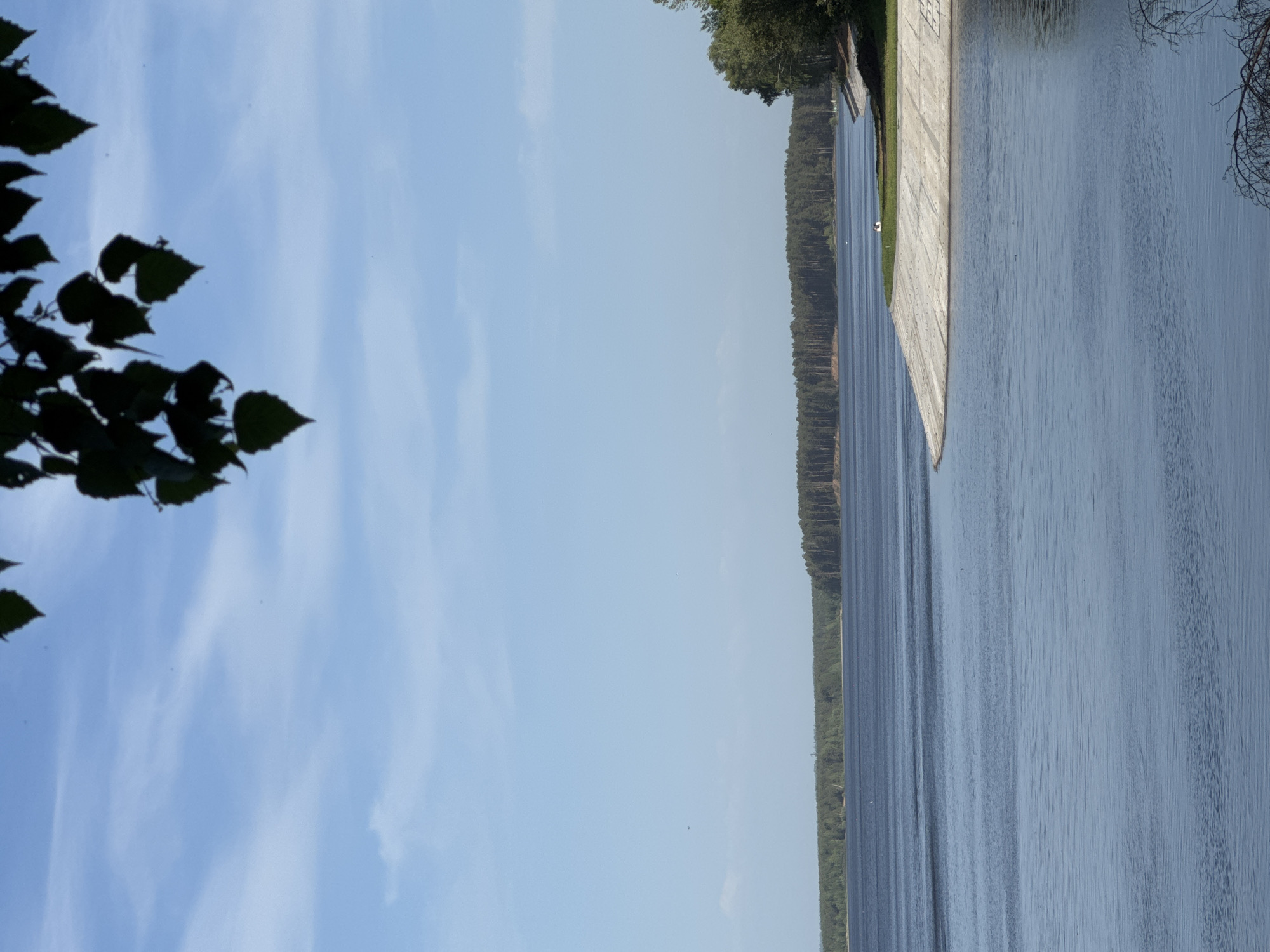 The image depicts a body of water, possibly a reservoir or lake, adjacent to a long, concrete embankment. A dense forest lines the opposite shore. The sky is clear with scattered clouds. Foliage is visible in the foreground, silhouetted against the sky. The location is likely in or near Chaikovsky, Russia, given the query. The overall scene suggests a calm, natural environment with engineered elements.